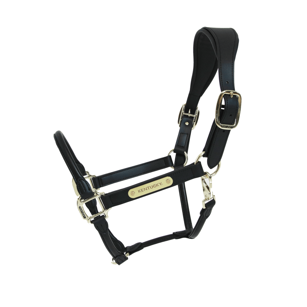 Anatomisch Leder Halfter