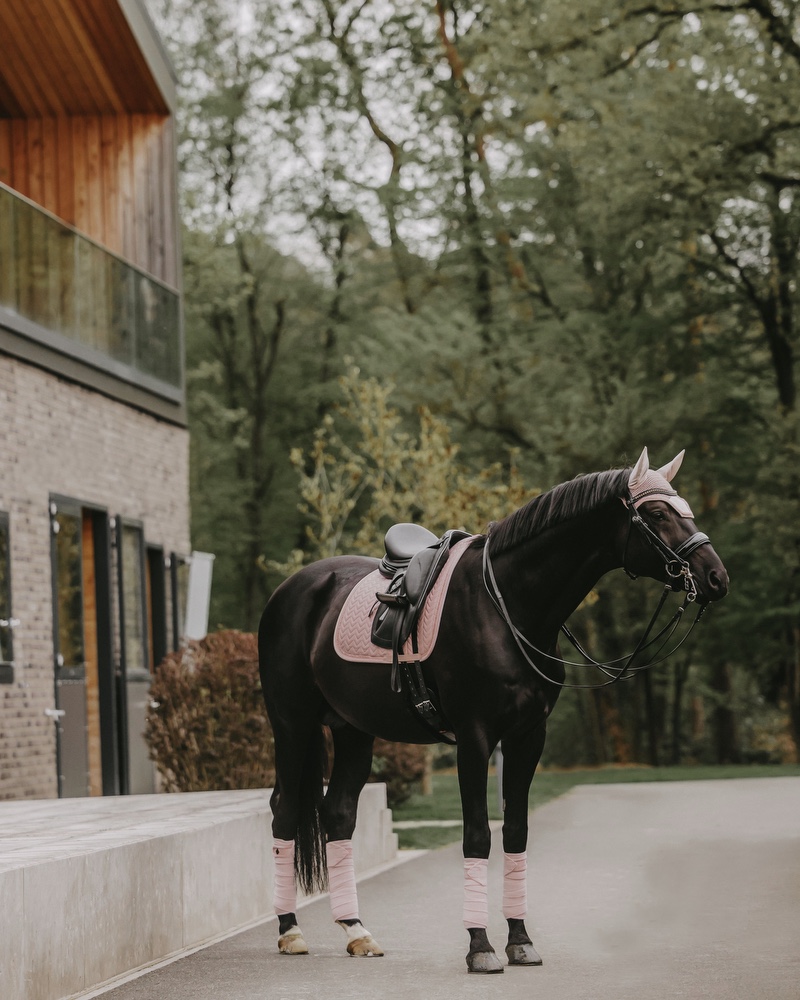 Dressage saddle pad Velvet Pearls