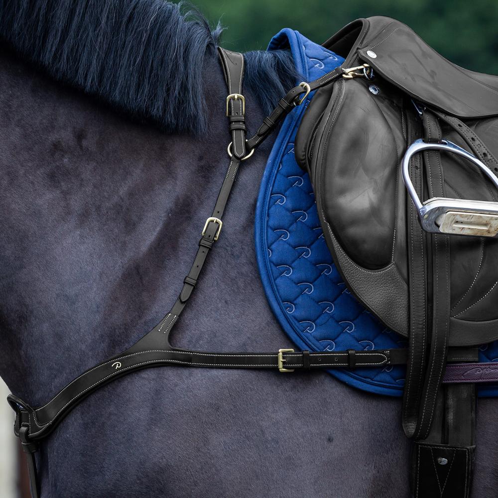 Anatomisches Vorderzeug | Dy'on