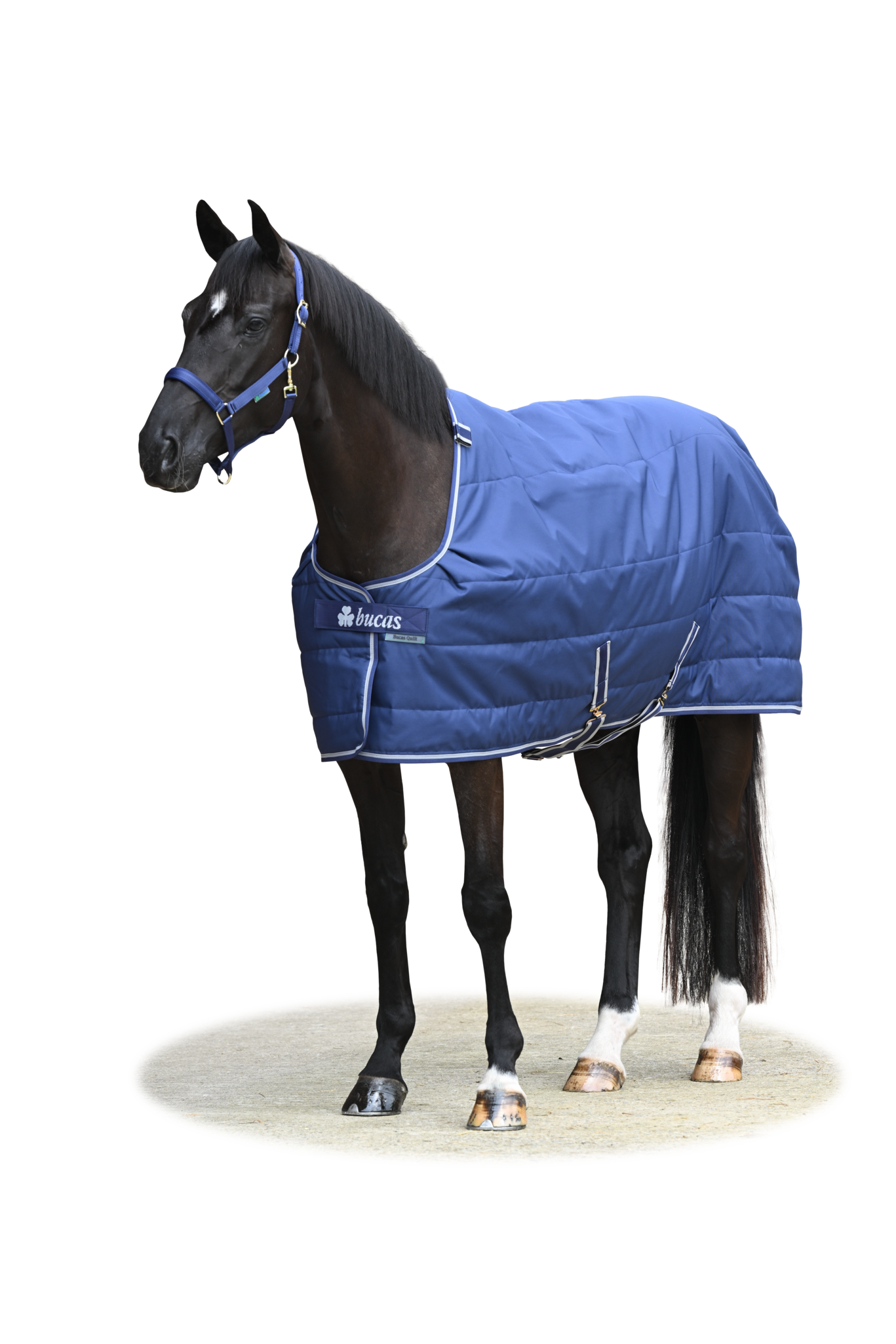 Stalldecke Quilt in Navy