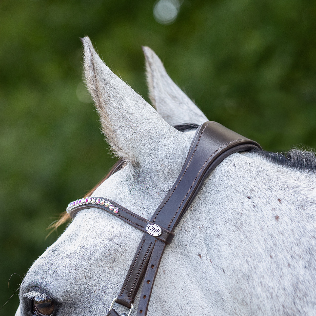 Snaffle bitless Sunna