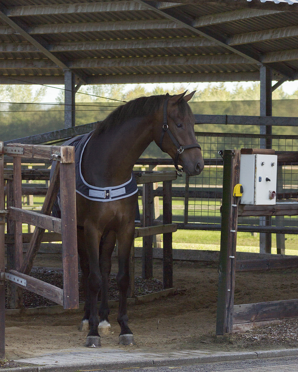 Horse walker blanket waterproof 200gr