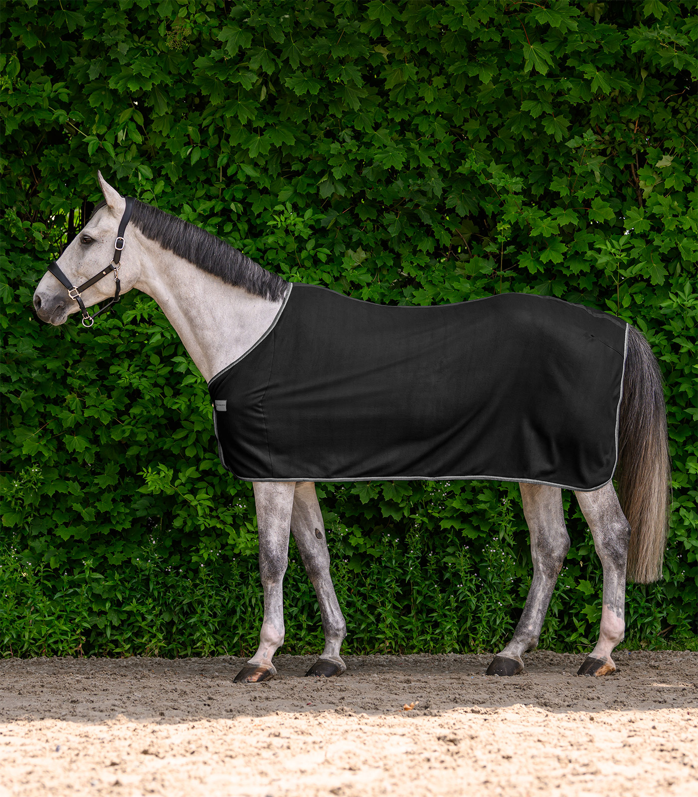 ECONOMIC Fleece rug, black, 075cm