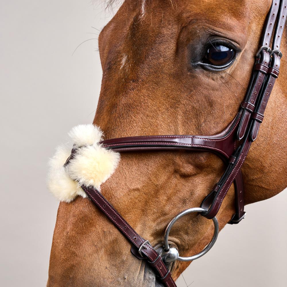 Trense mit mexikanischem Reithalfter NE