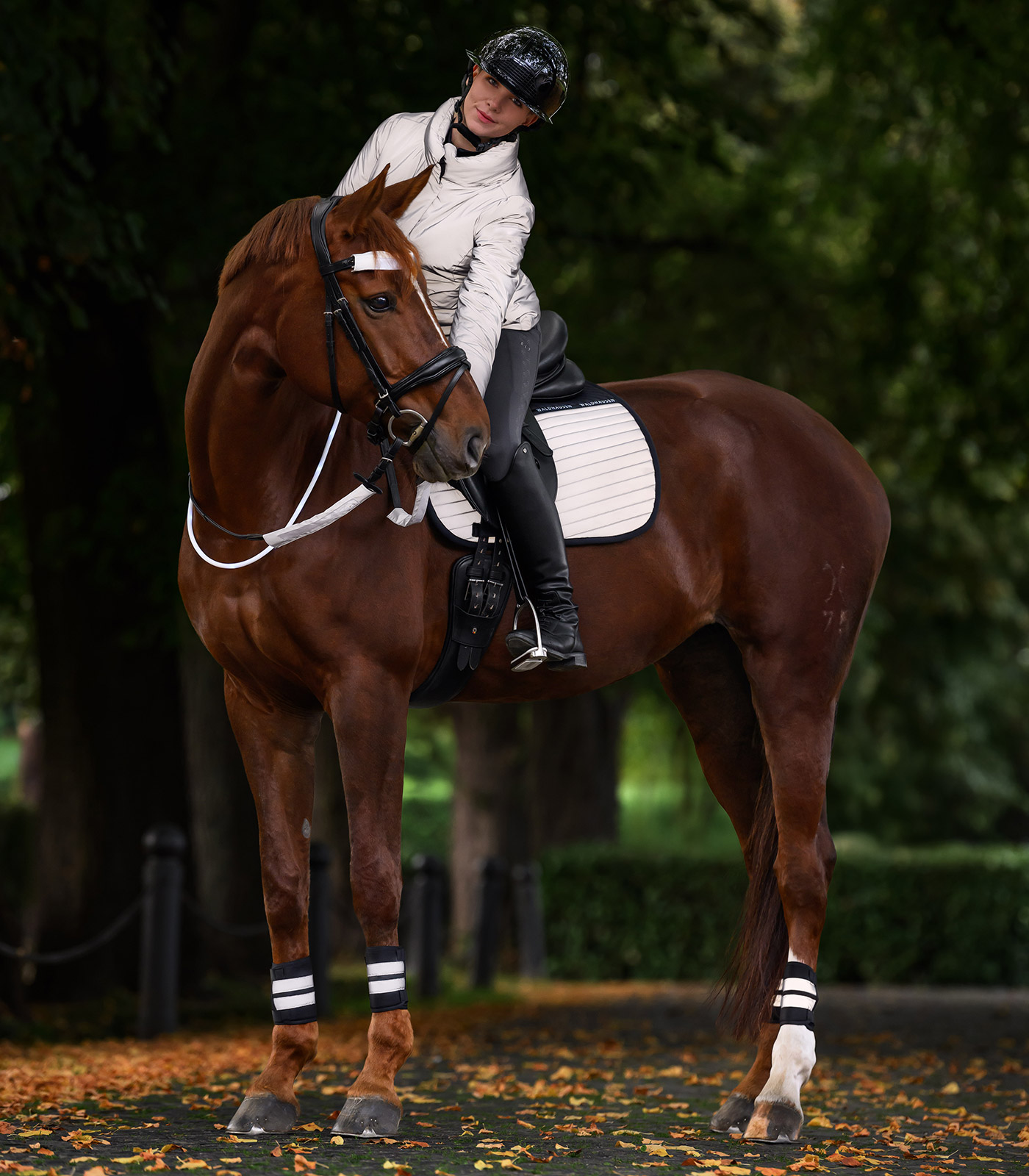 Riding Jacket reflective