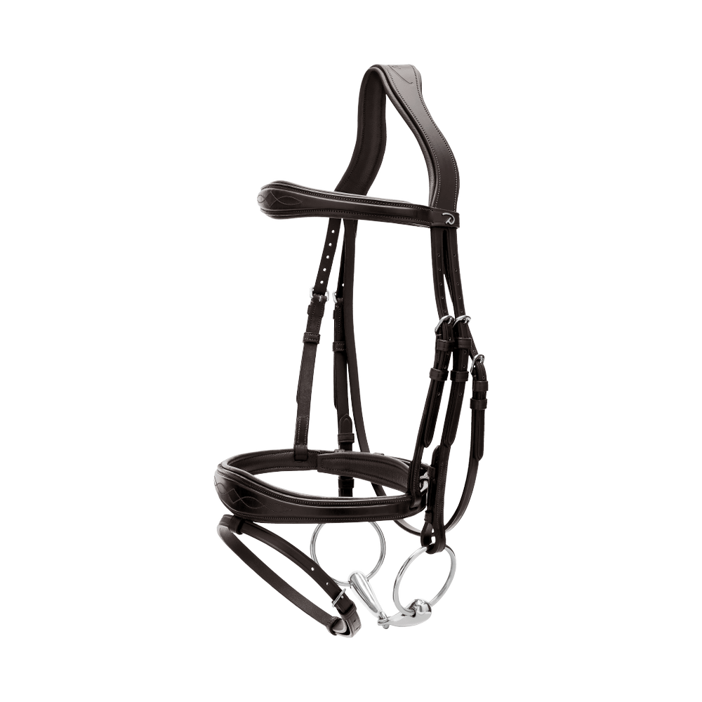 Anatomische Trense mit kombiniertem Reithalfter NE