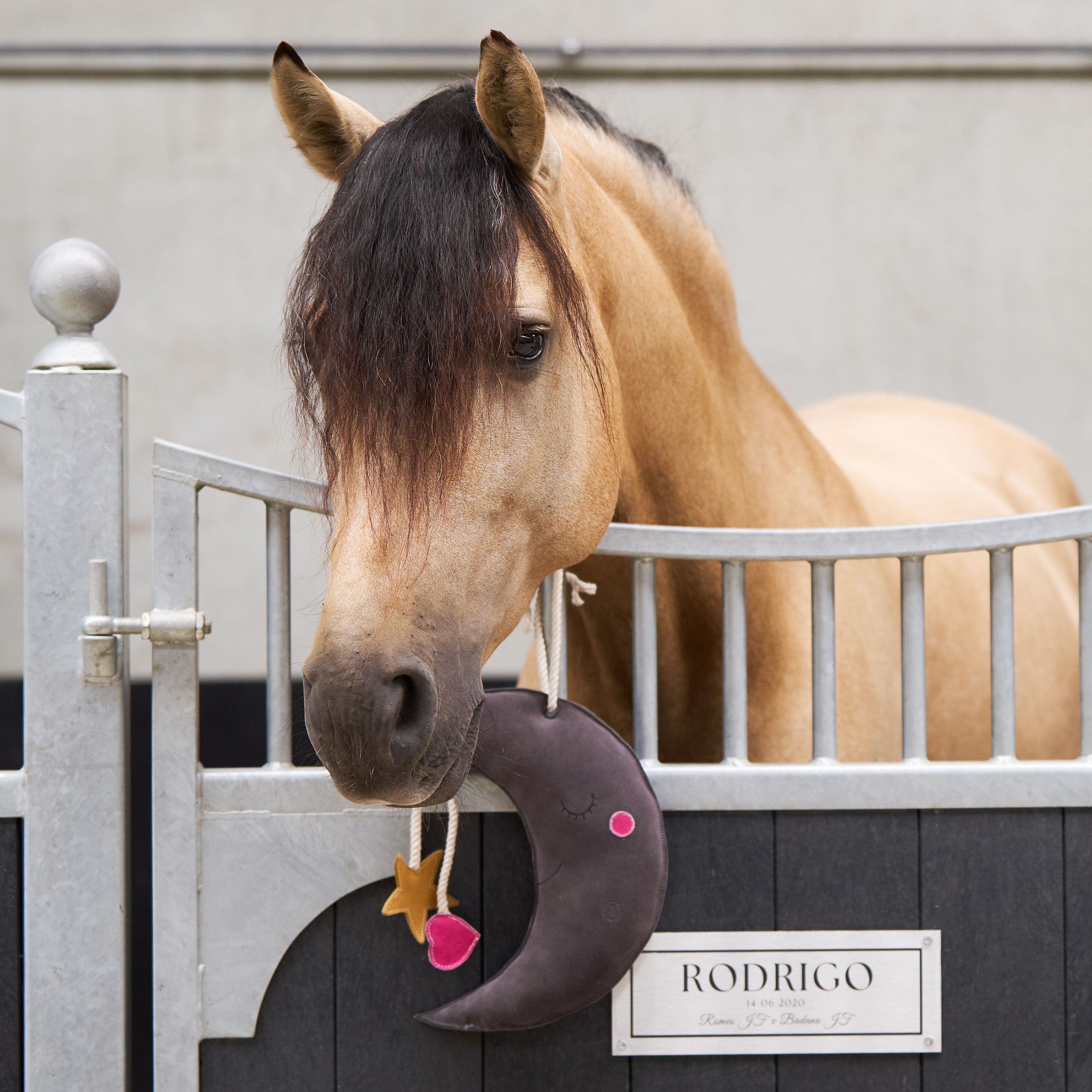 Stable buddy Moony