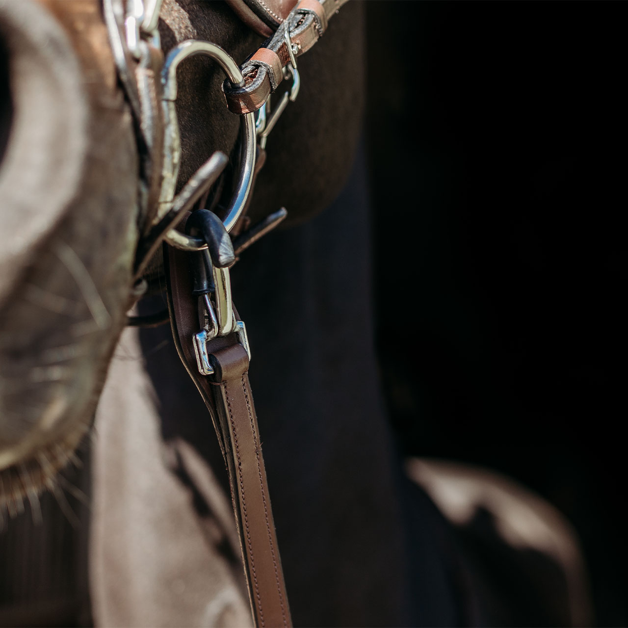 Reins FayRein with clip + stops(8cm)