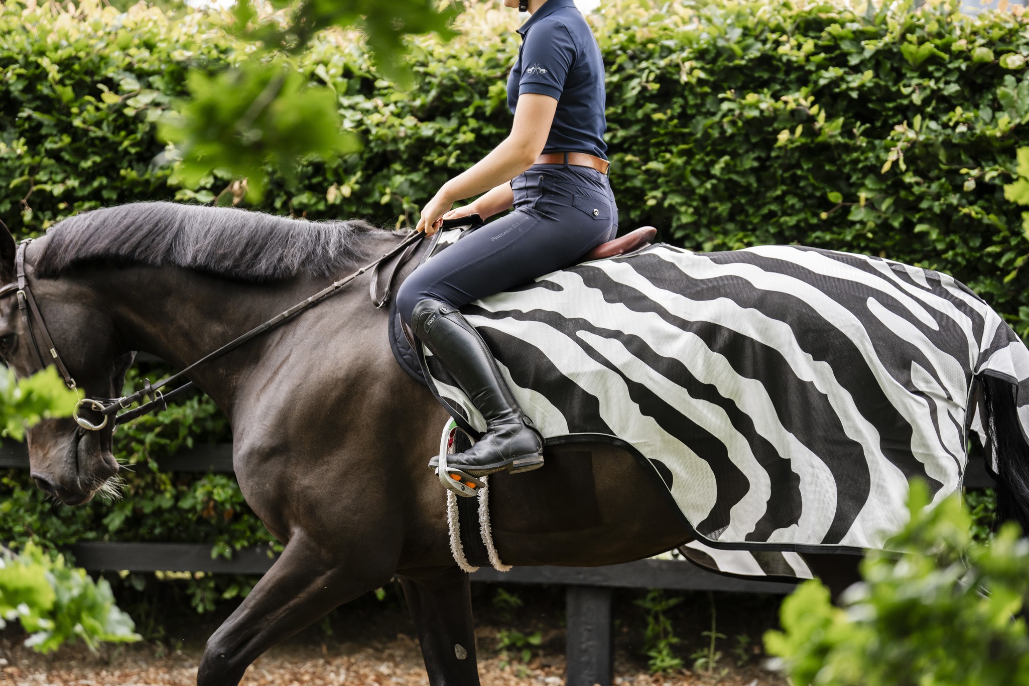 Fliegendecke Buzz-Off Riding in Zebra/Black