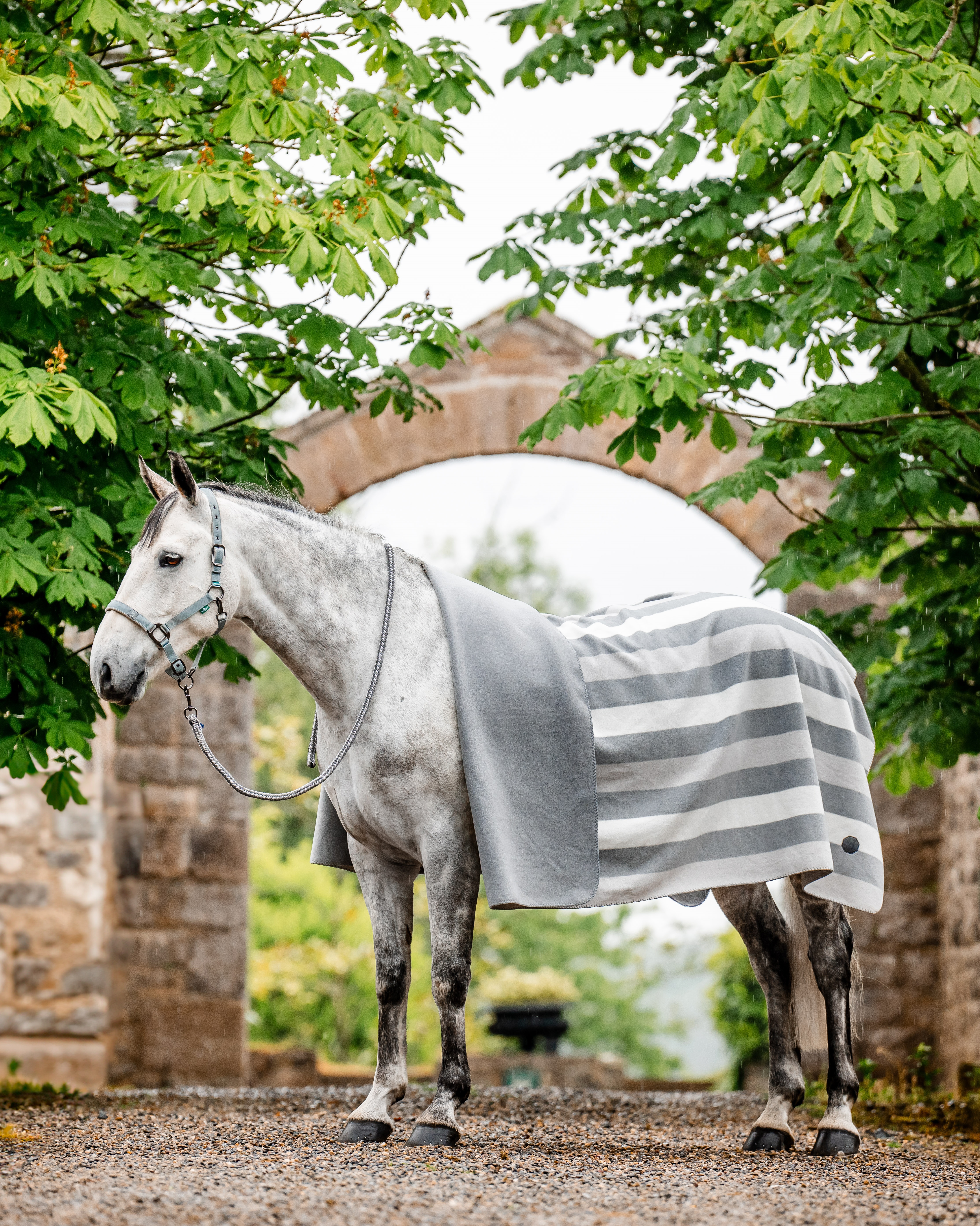 Abschwitzdecke Newmarket