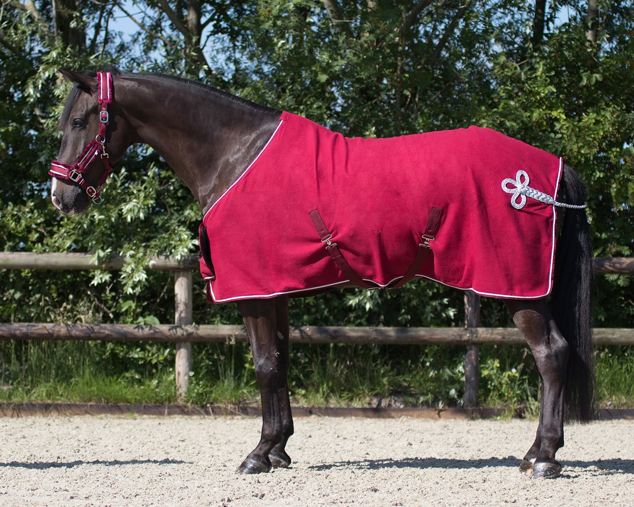 Sweat rug with ornament
