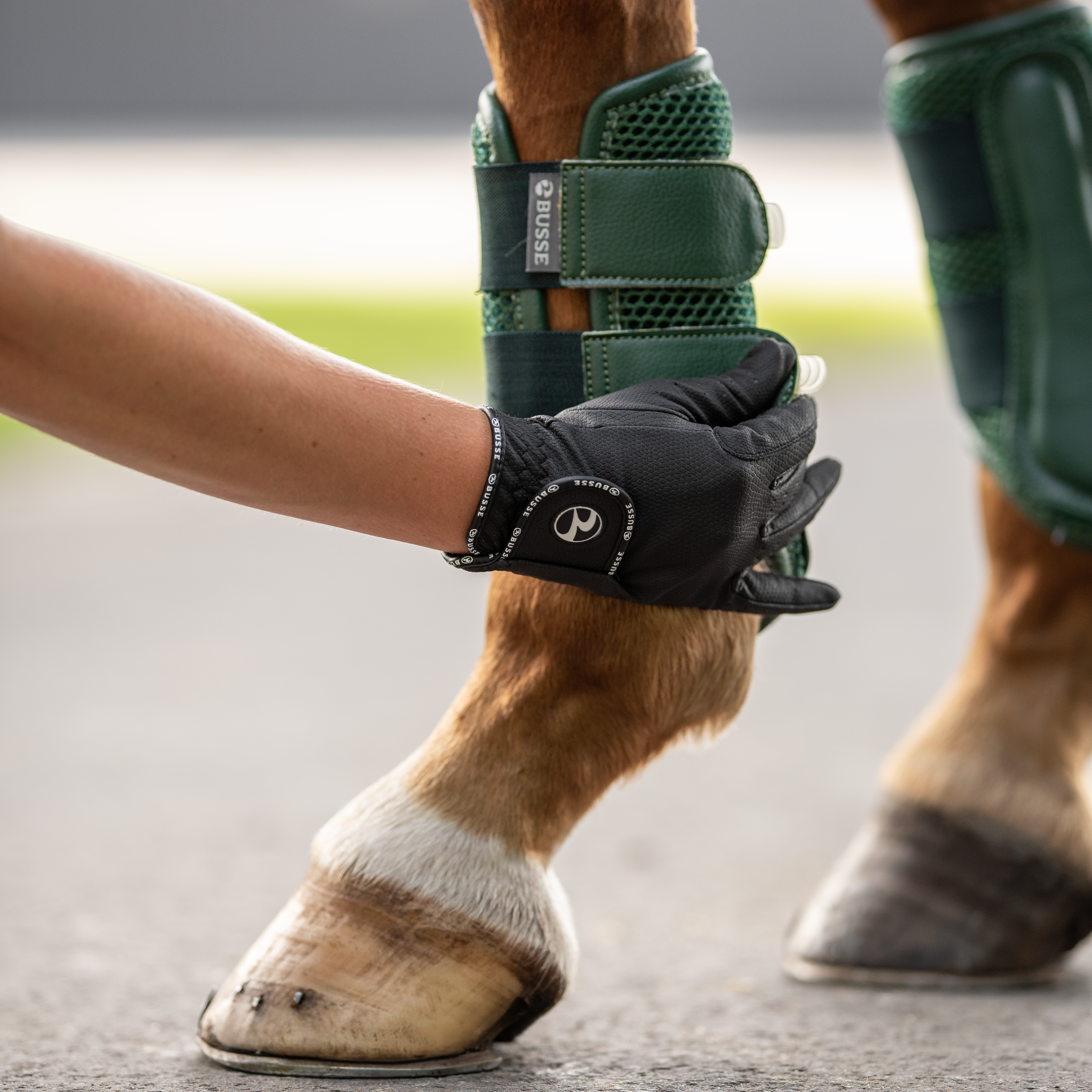 Gants d'équitation Casual GP