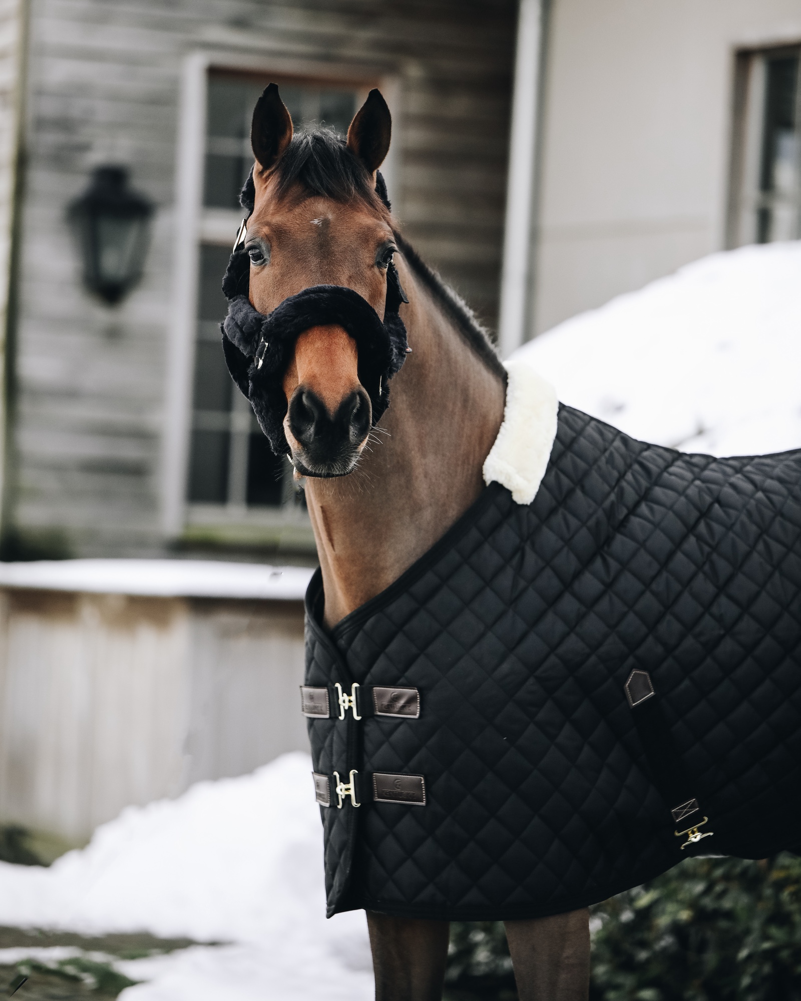 Stable rug 400g