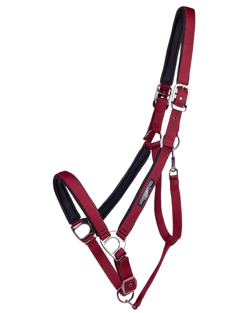 Halter Deluxe Draught Horse Halter Deluxe Draught Horse