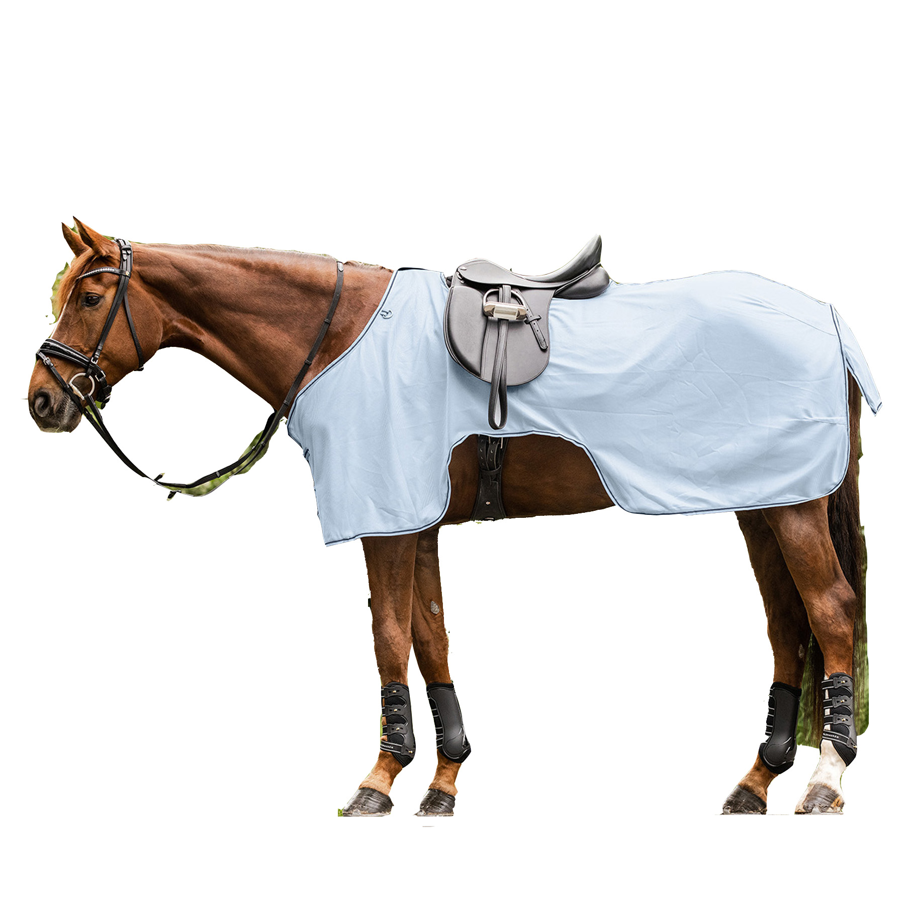 Fliegenausreitdecke Protec