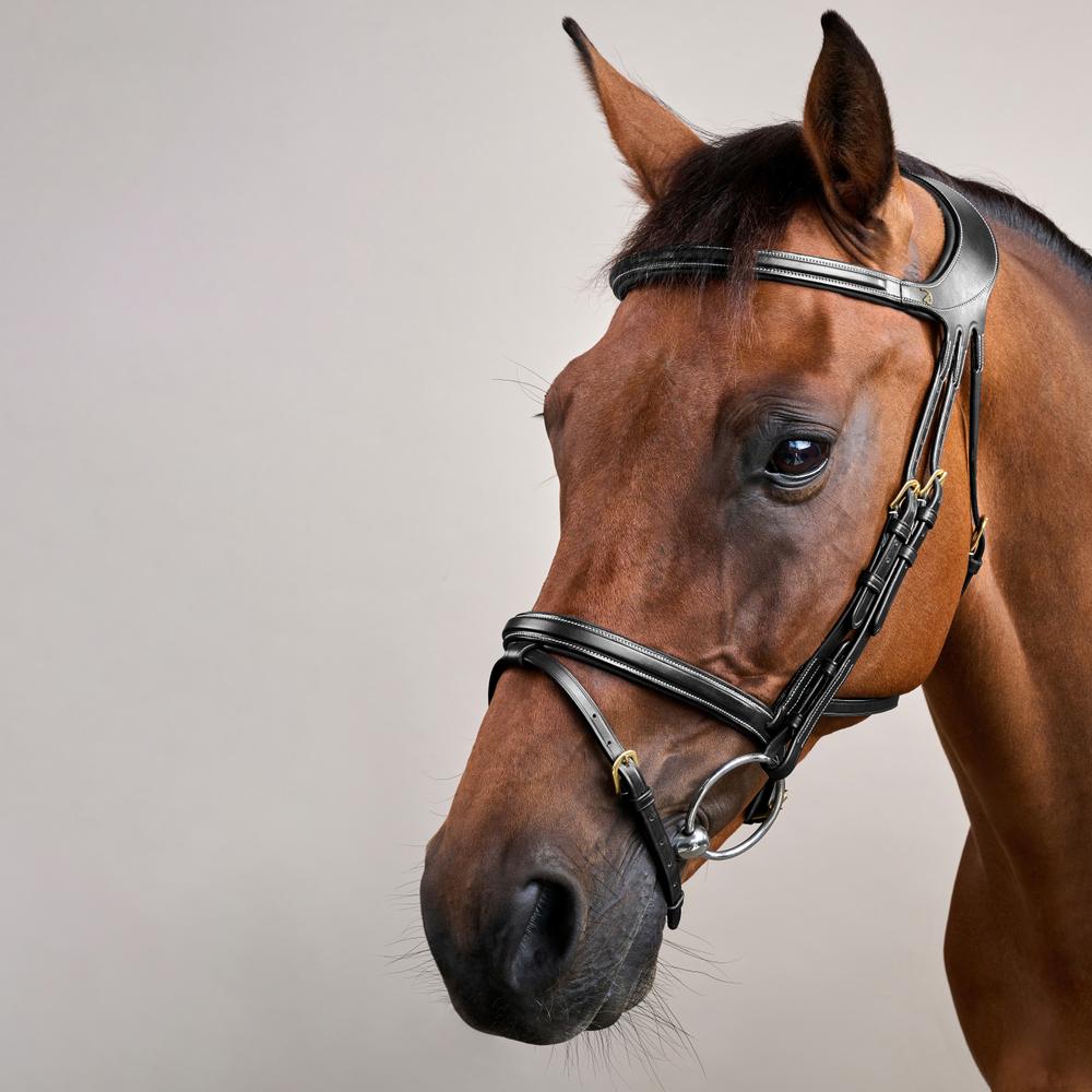 Difference Trense DY DY | Dy'on