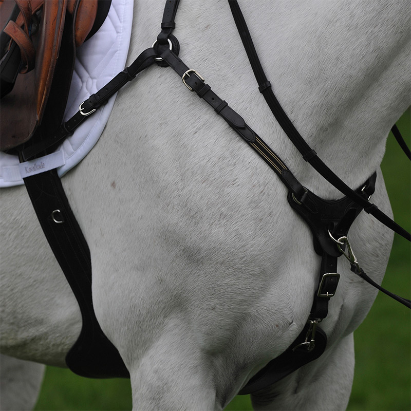 SecureX" studded protective girth with breastplate - Elast SecureX" studded protective girth with breastplate - Elast
