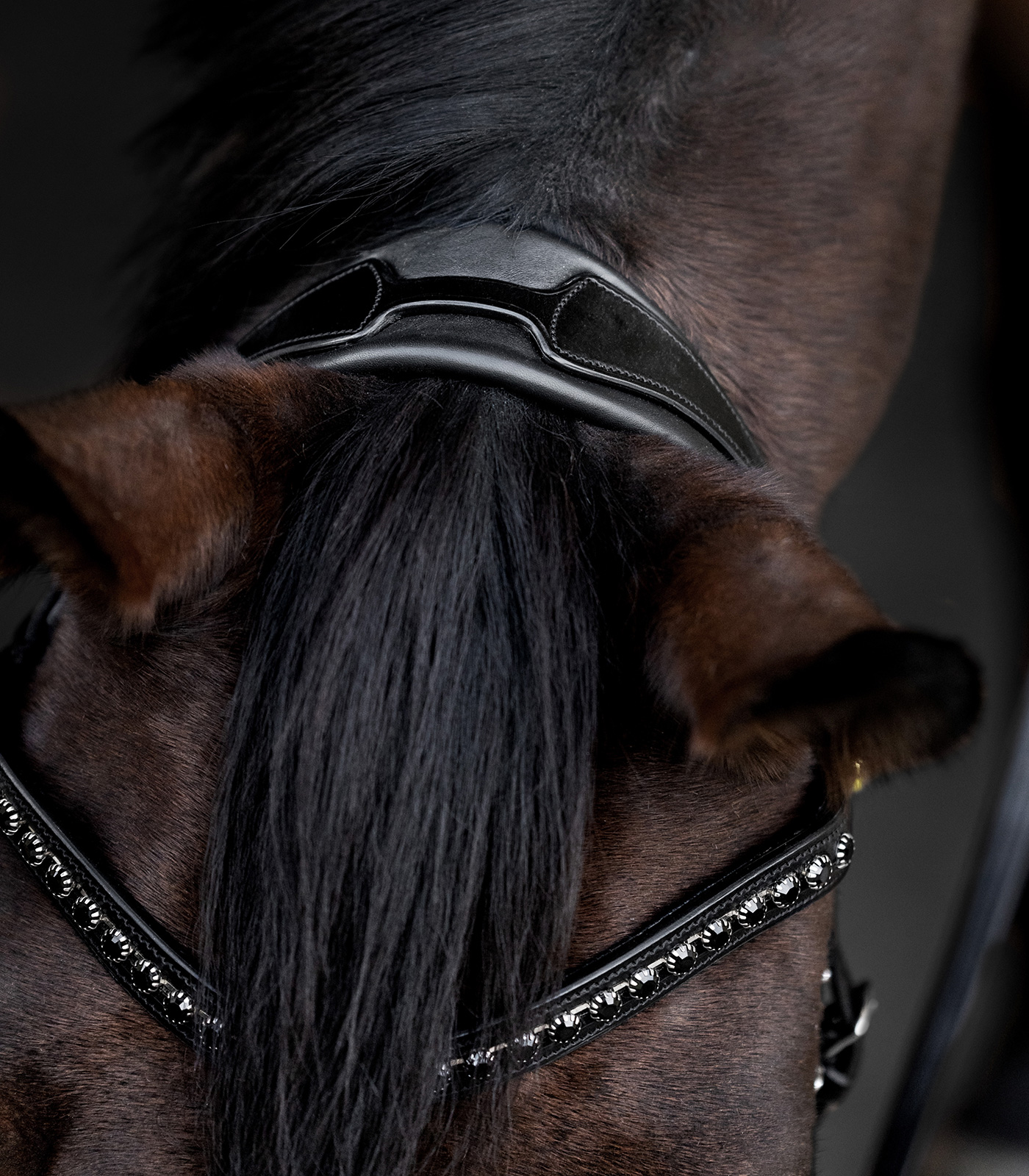 Trensenzaum Blackshine Waldhausen S-Line