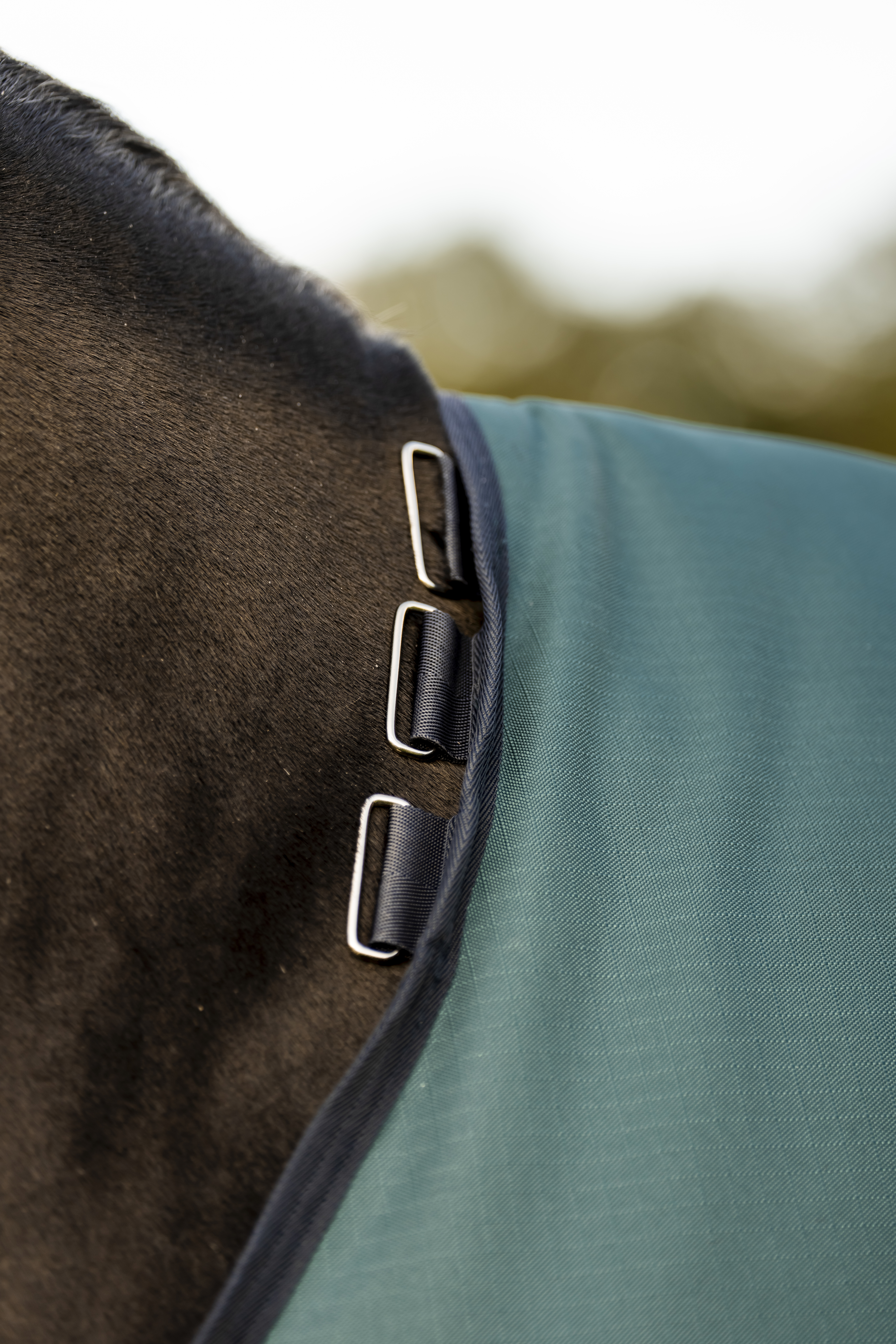 Amigo Ripstop 900D Turnout 100g in Dynasty Green/Navy & Silver