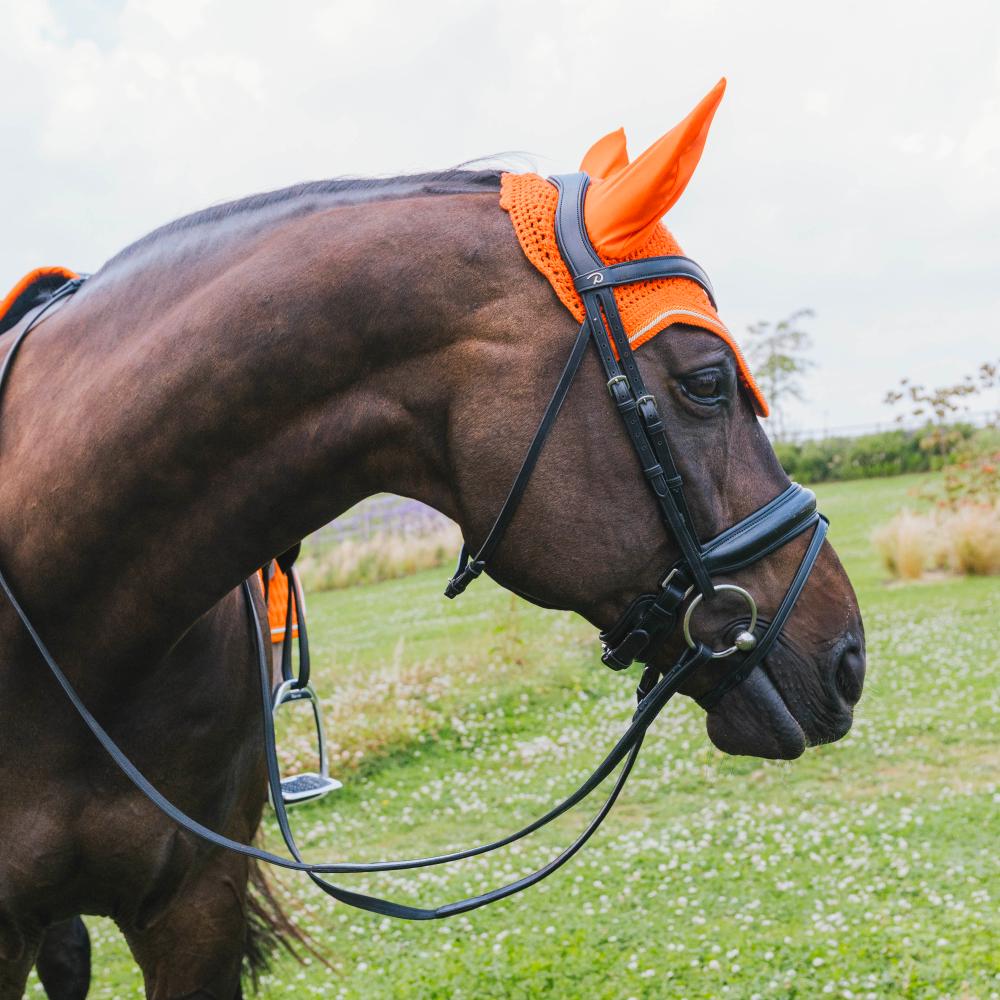 Ear bonnet Wellington Diamond Rope