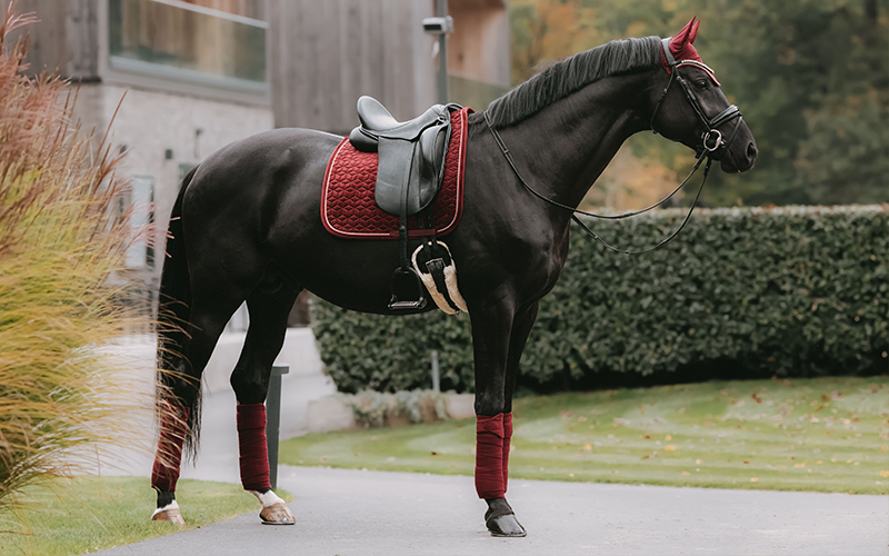 Rappe Bordeaux Velvet Outfit