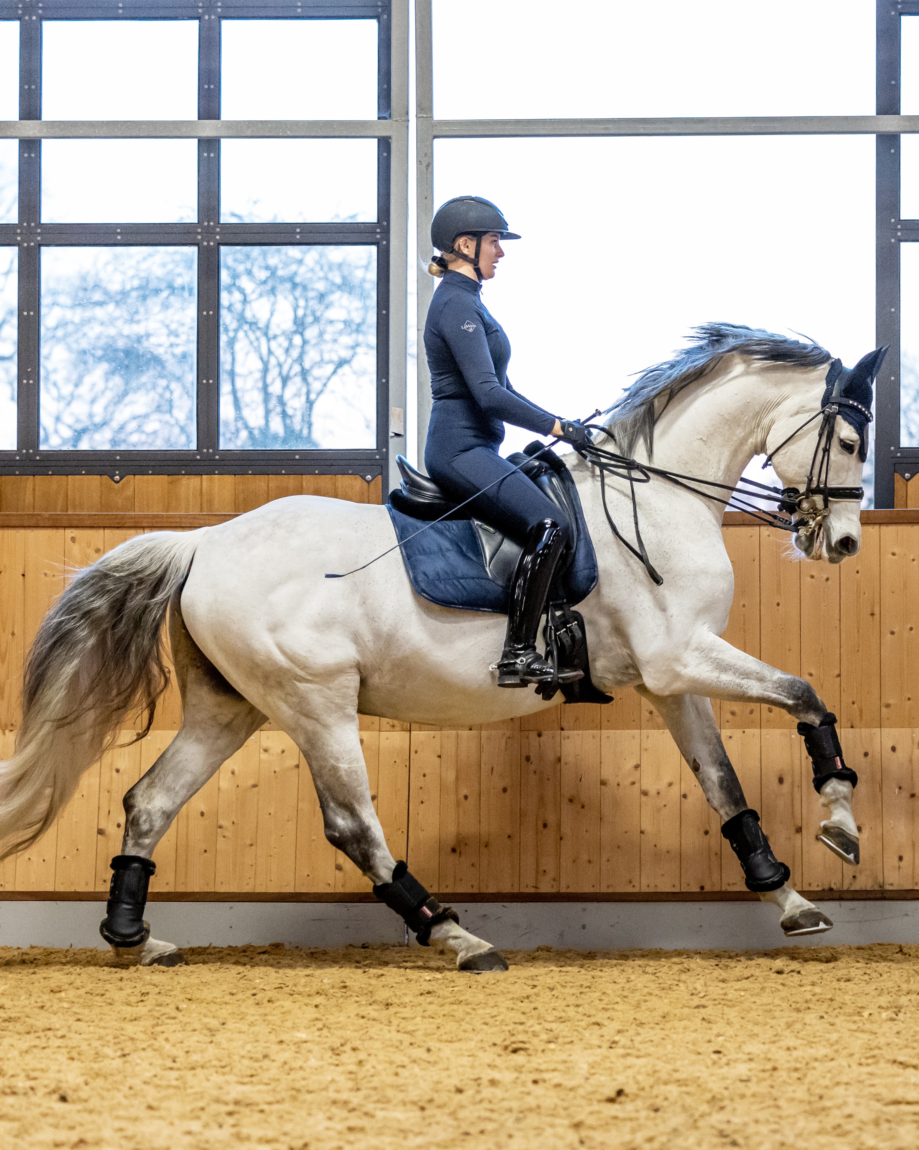 Work Pad Dressage in navy