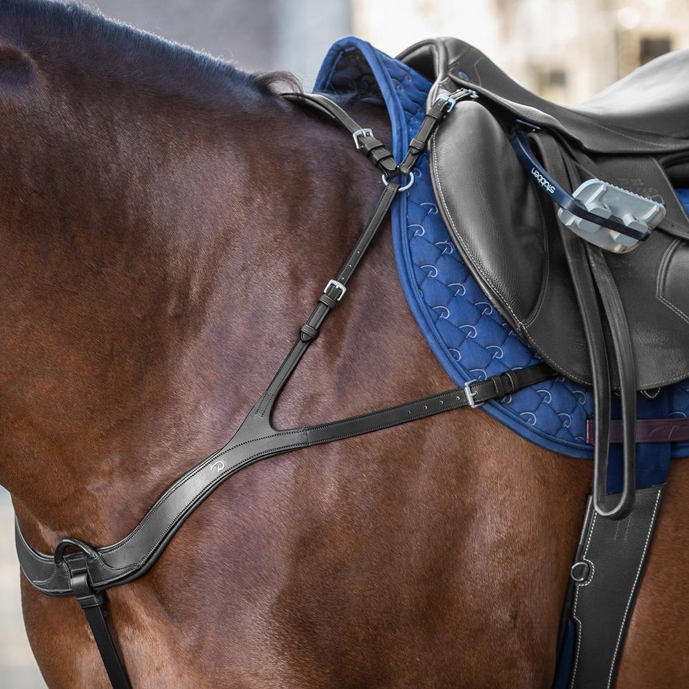 Anatomisches Vorderzeug