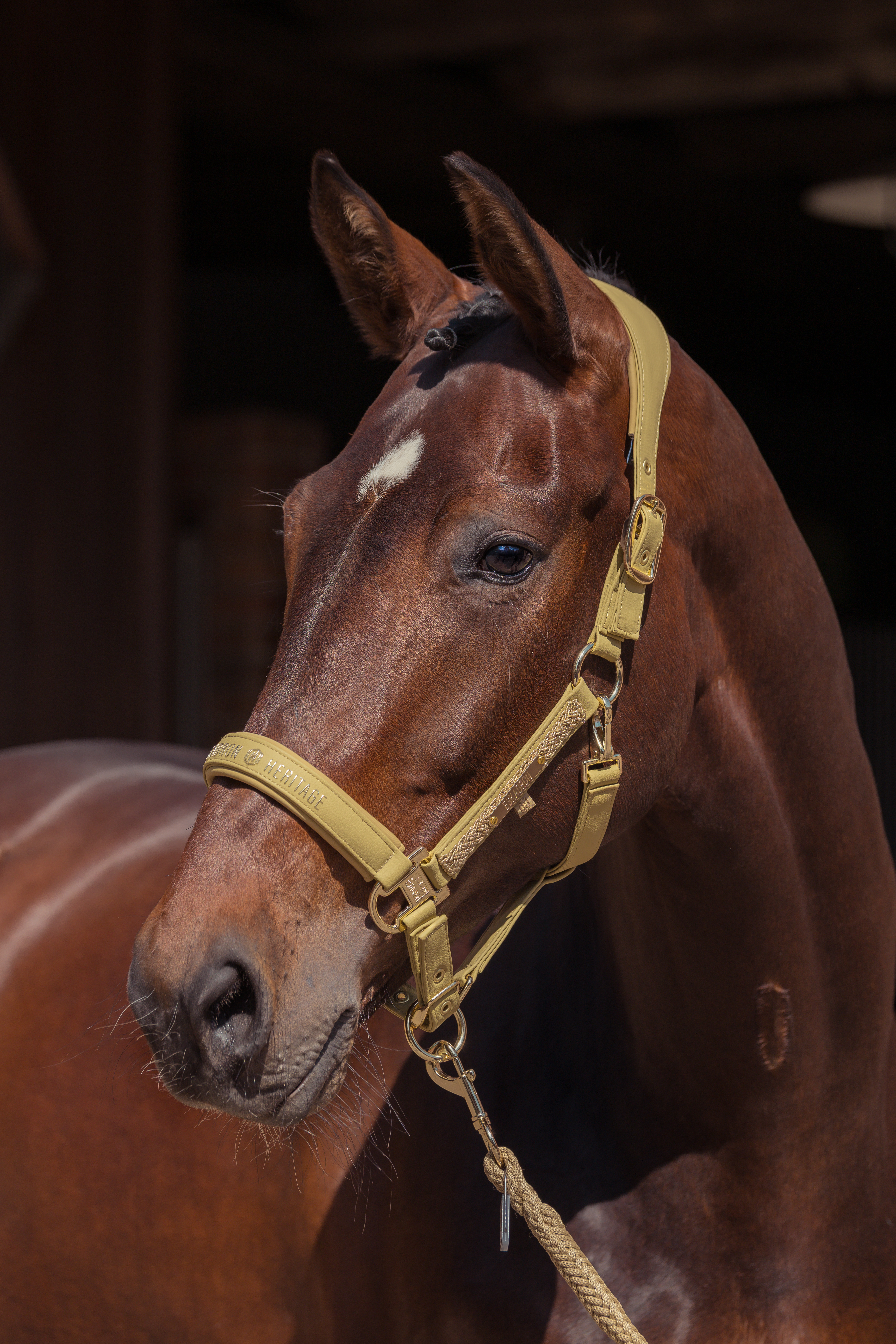 Halfter Heritage Faux Leather