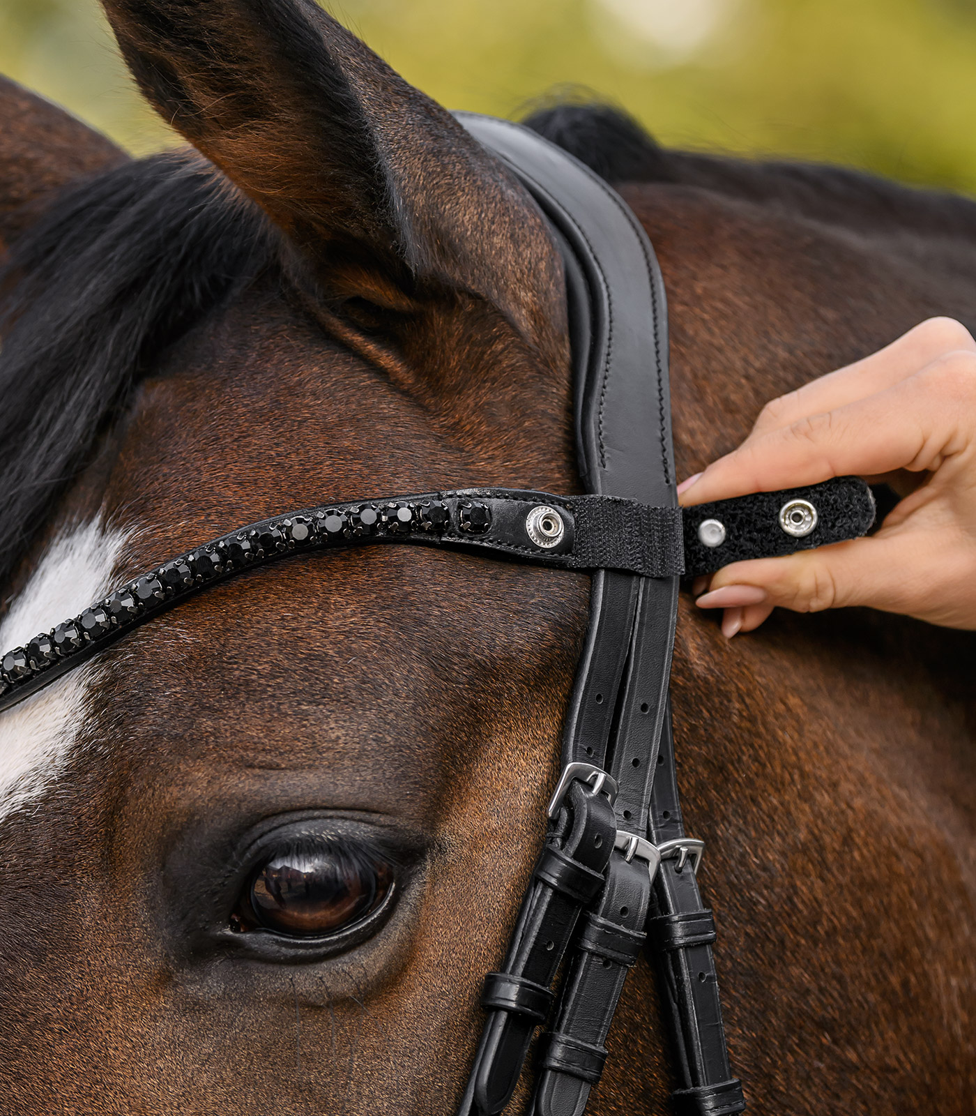 X-Line Browband Shine, black
