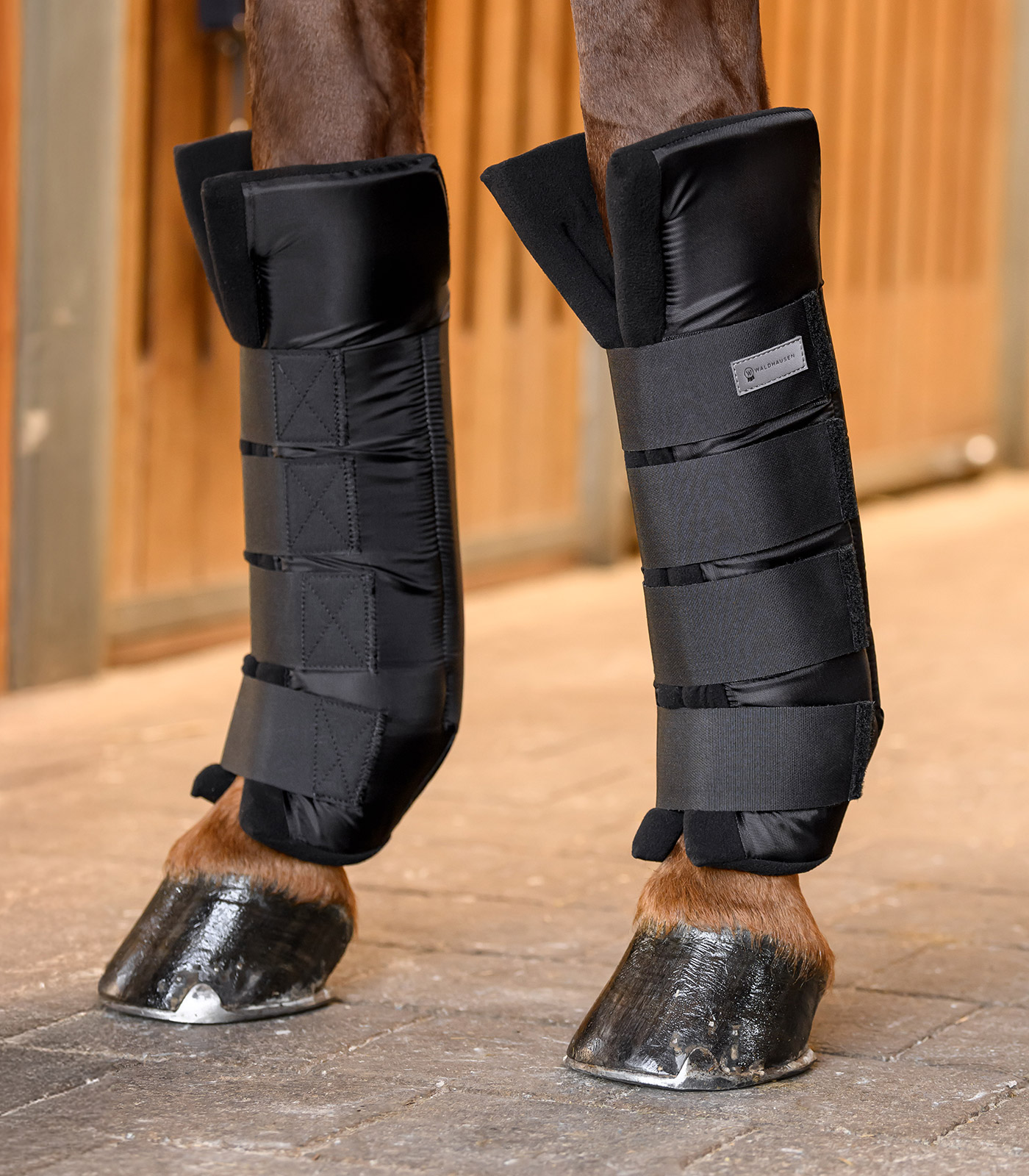 Stallgamaschen mit Gelenksupport, vorne
