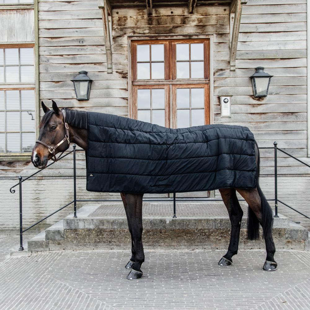Couverture duvet cheval