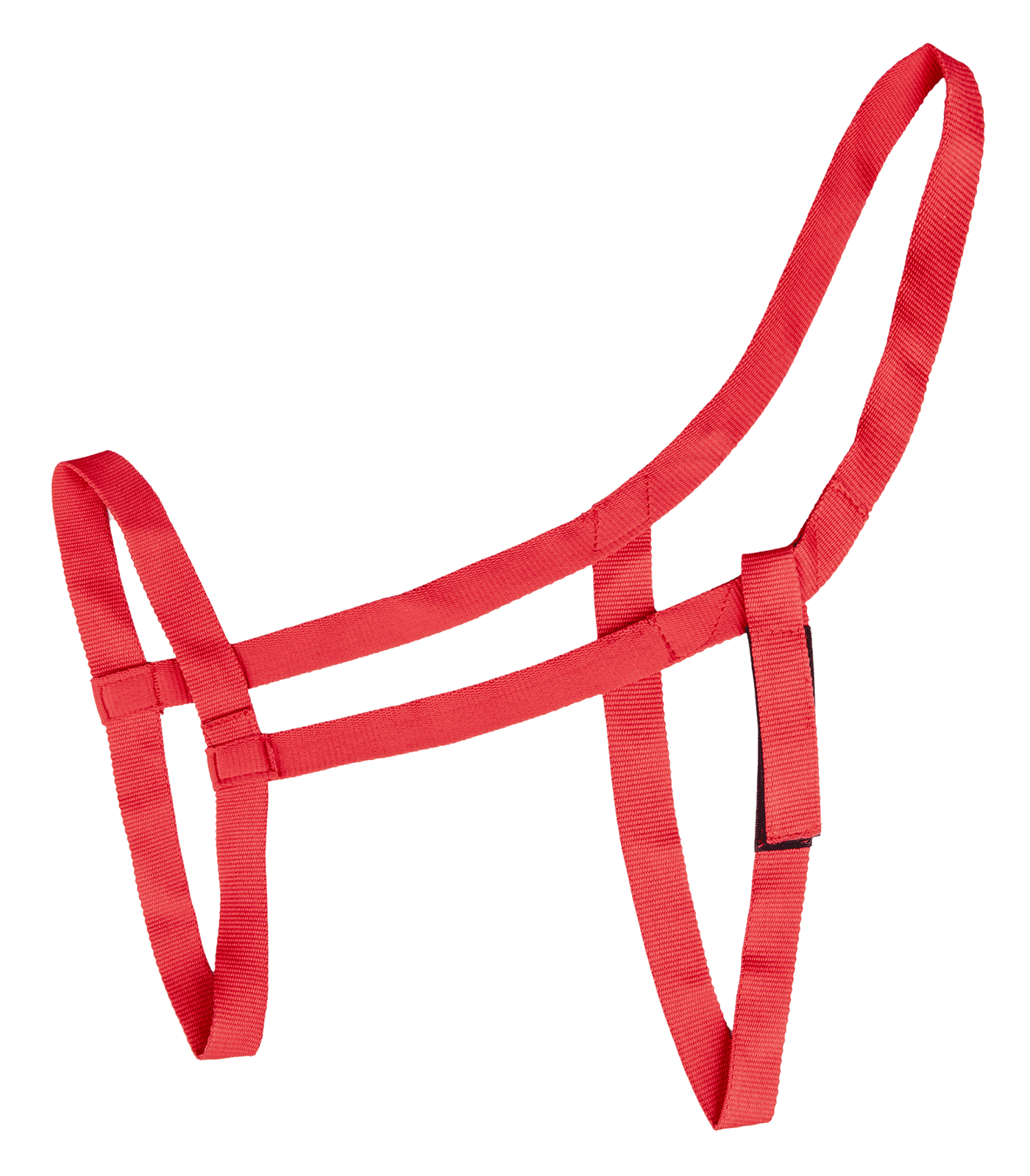Pasture halter