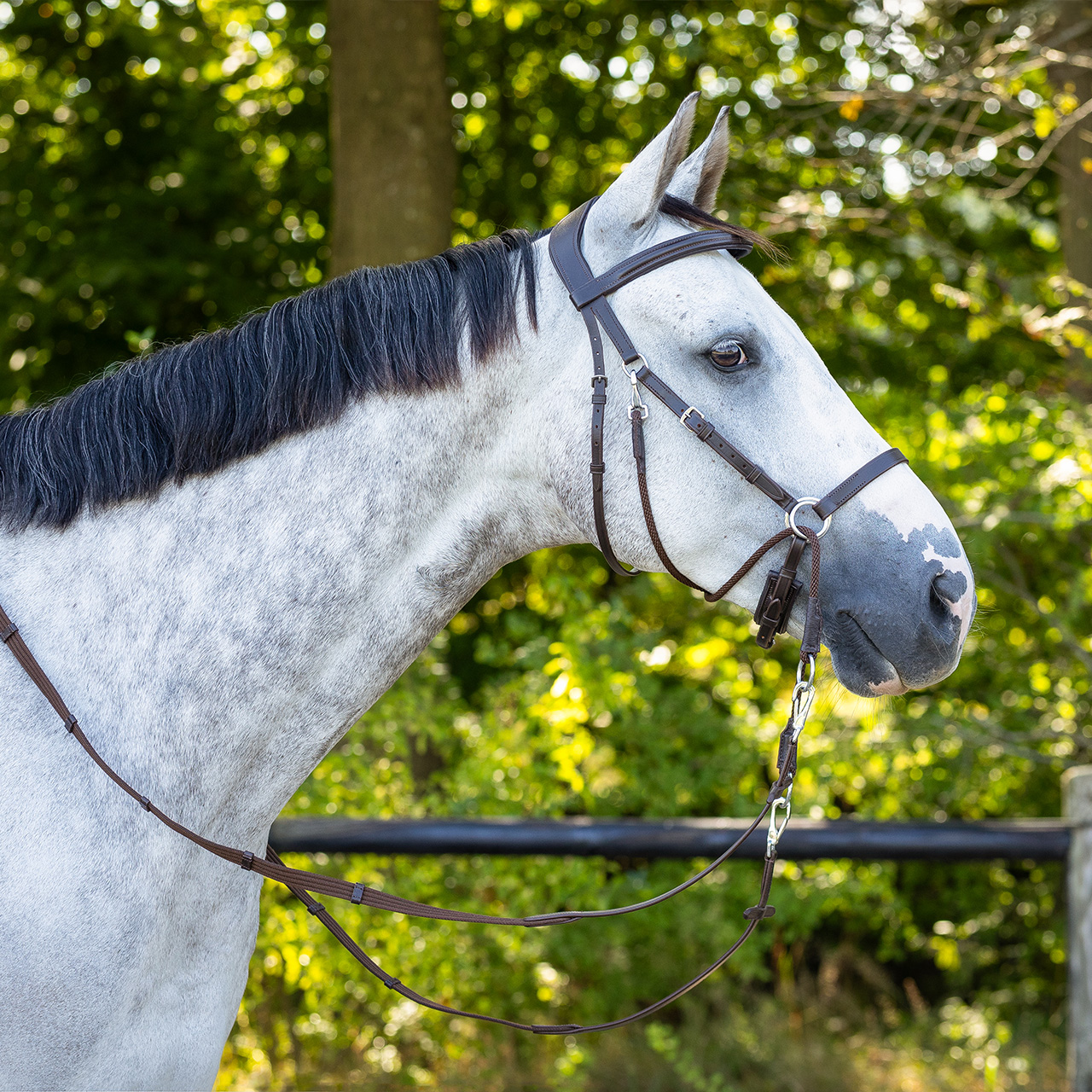 Snaffle bitless Ceto