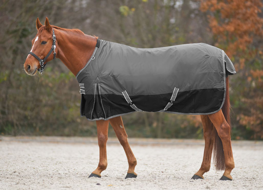Outdoor rug Star IVR Economic 50 g in asphalt/black