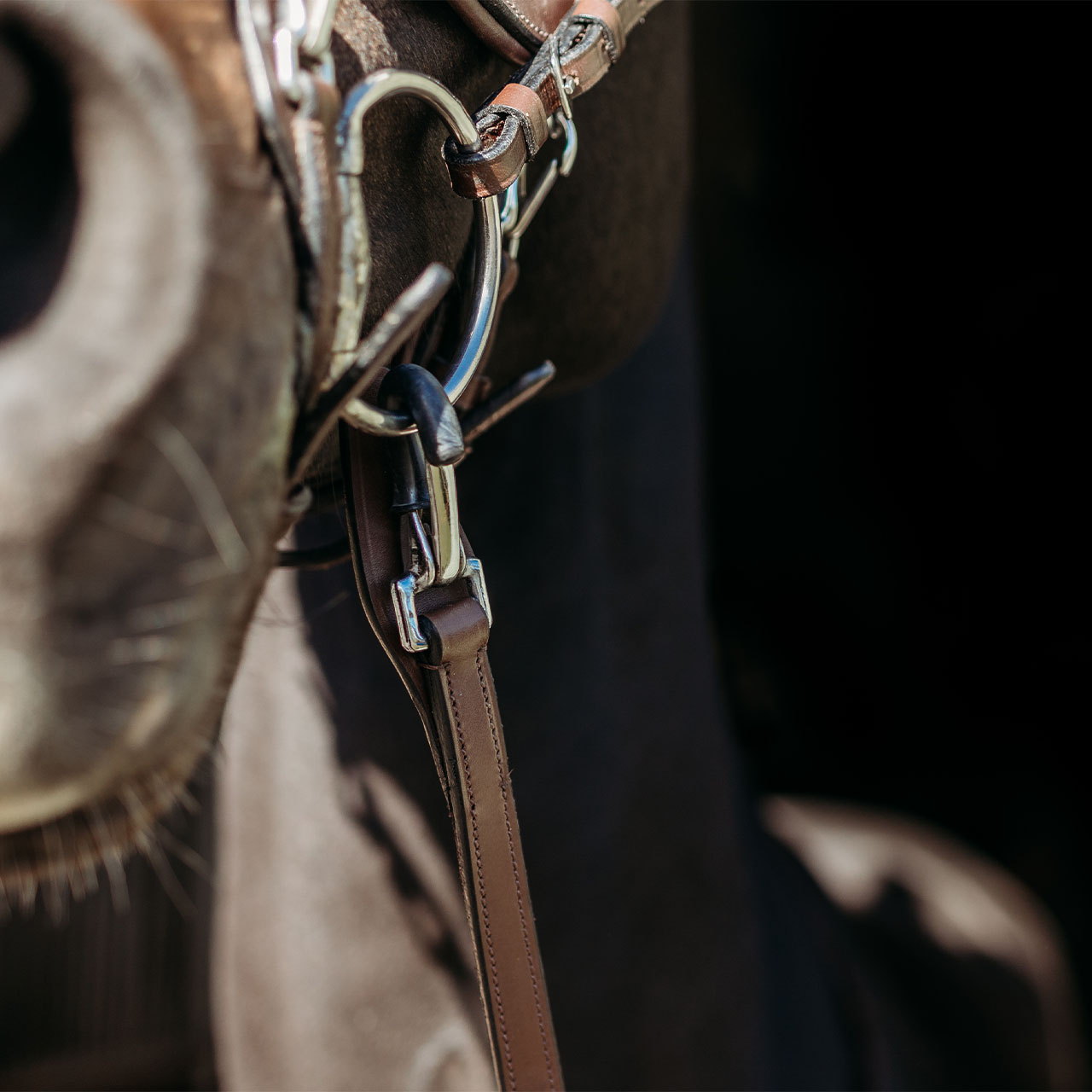 Reins FayRein with clip + stops(12.5cm)