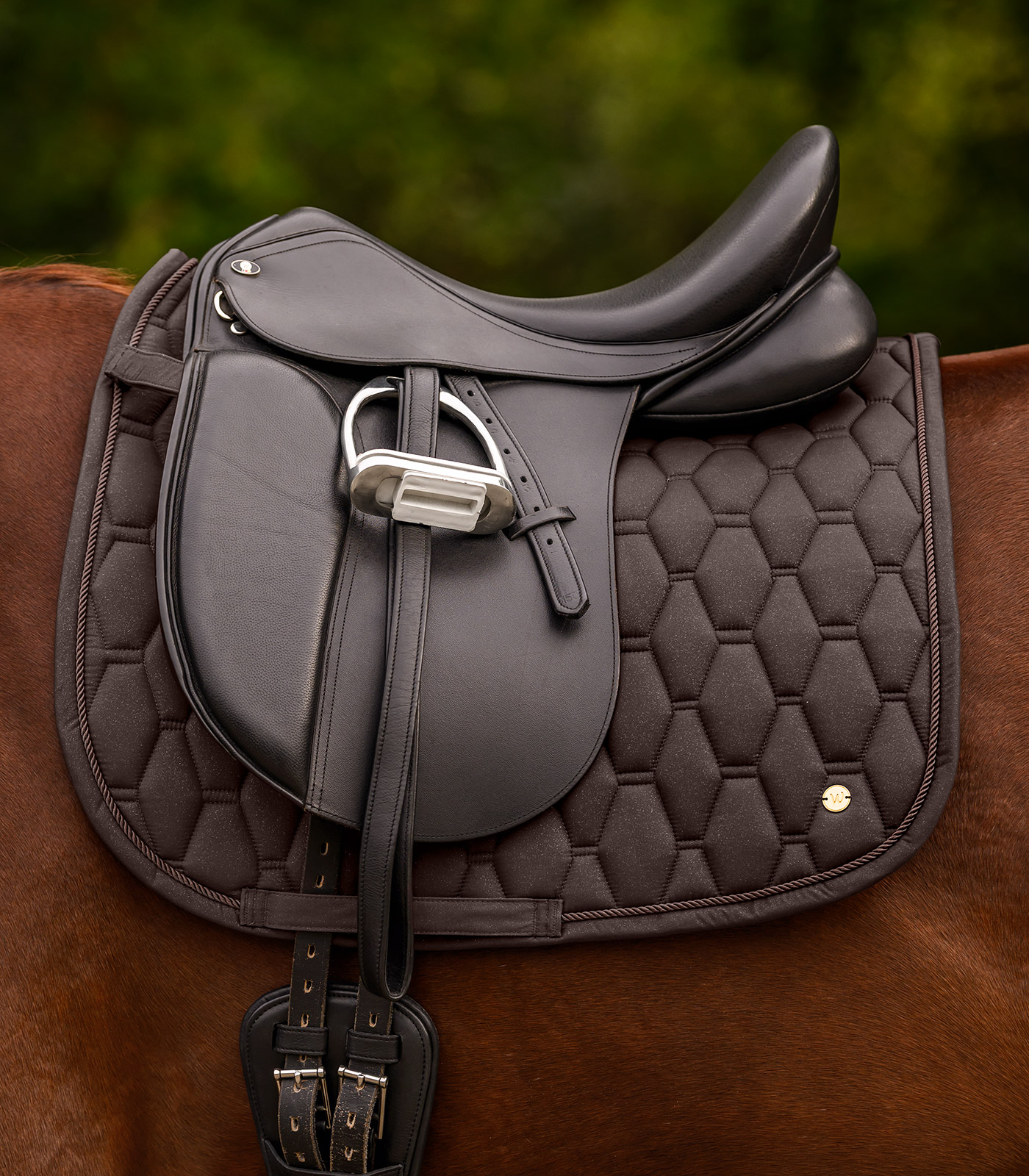 Saddle pad Phoenix