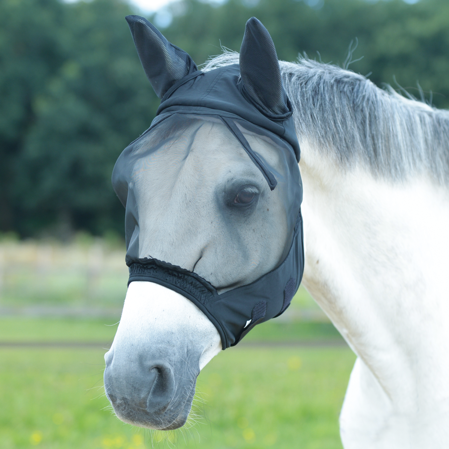Fliegenmaske Fly Buckler II