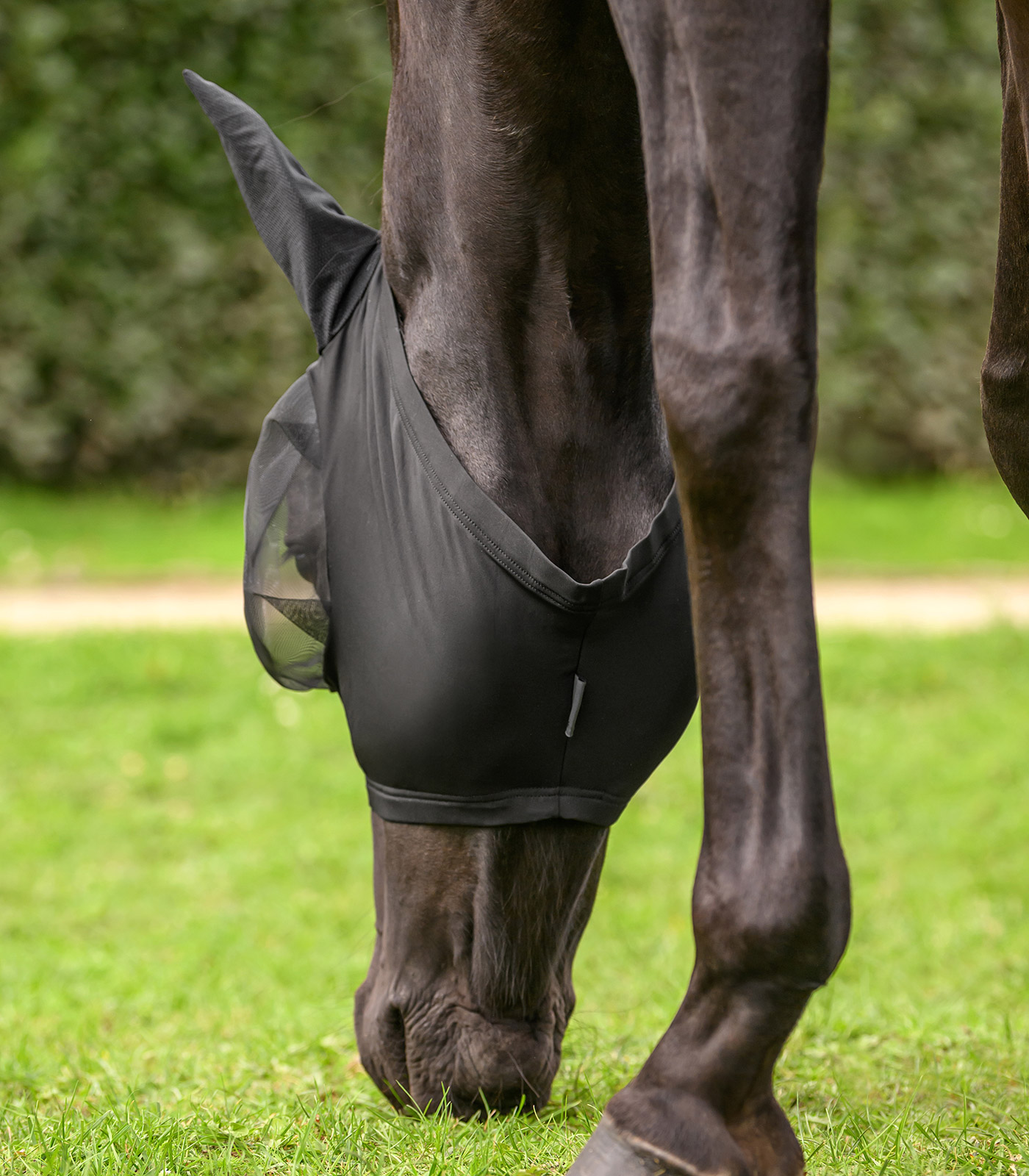 Fly Mask Puck Flex