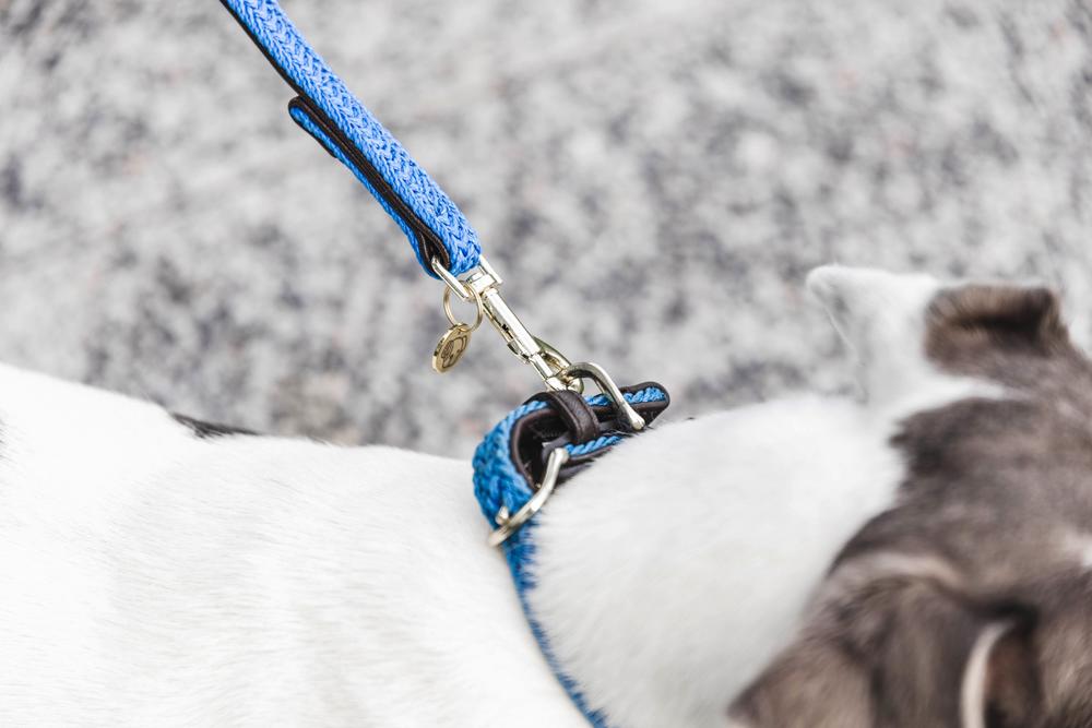 Dog lead Plaited Nylon 120 cm