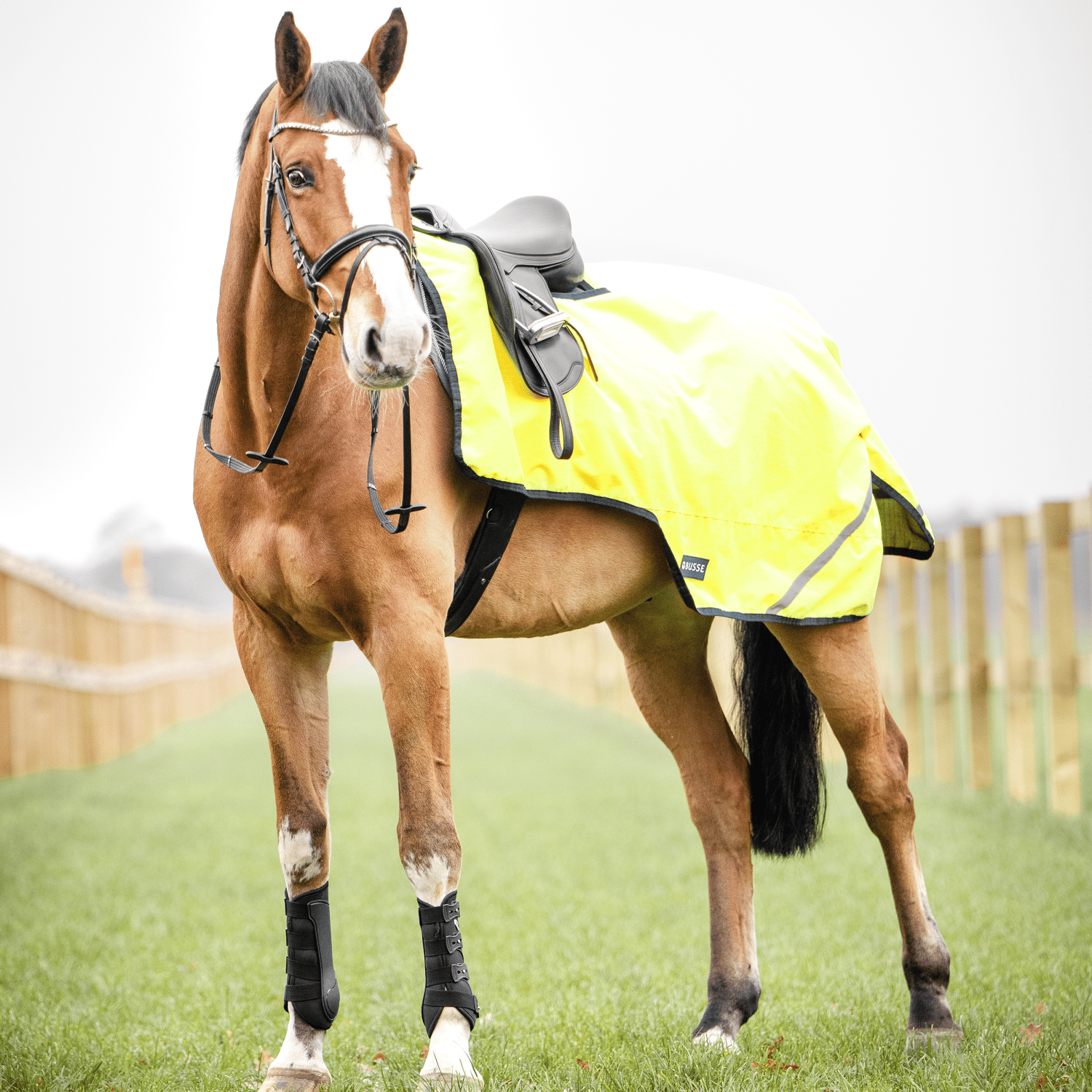 Ausreitdecke Shine 100