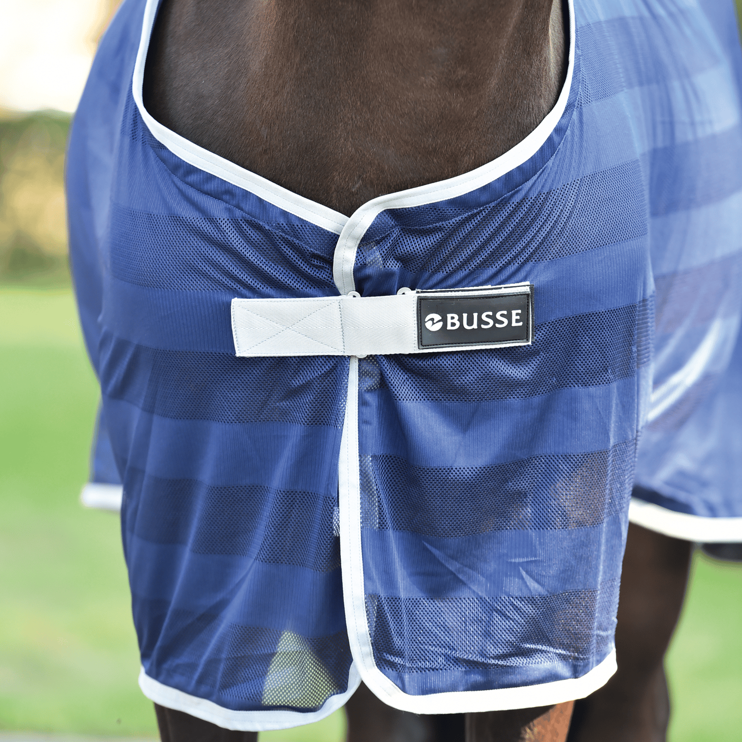 Stripe transport fly rug