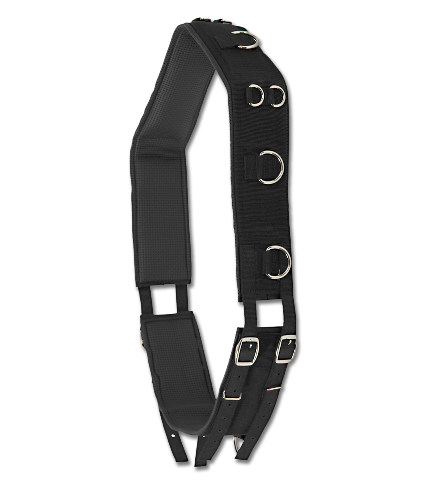 Longiergurt, 11 Ringe