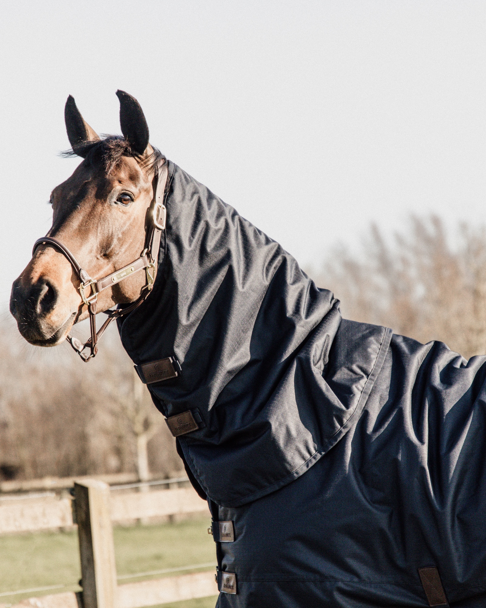 Outdoor rug All Weather waterproof Classic 50g