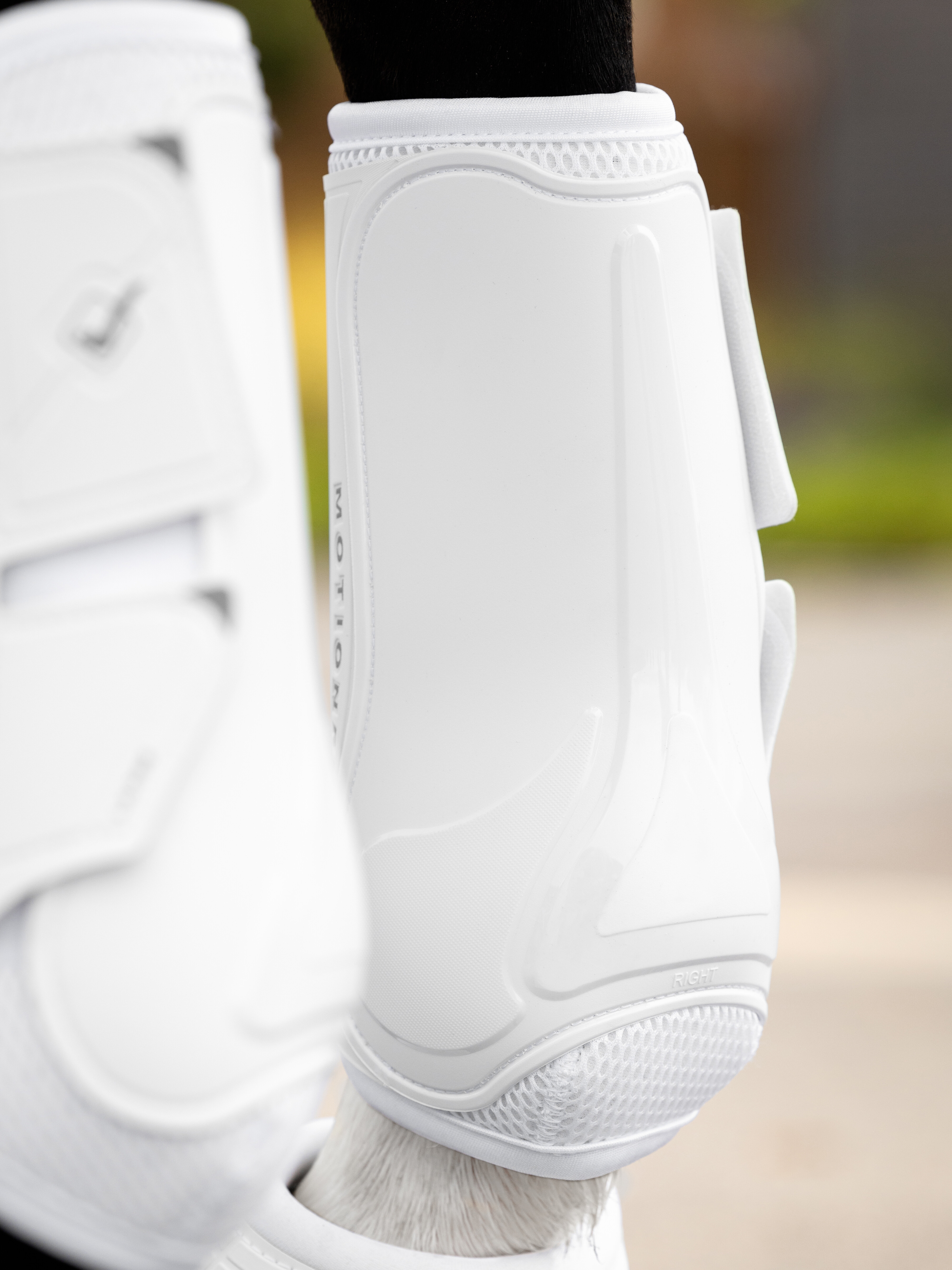 Motionflex dressage boots