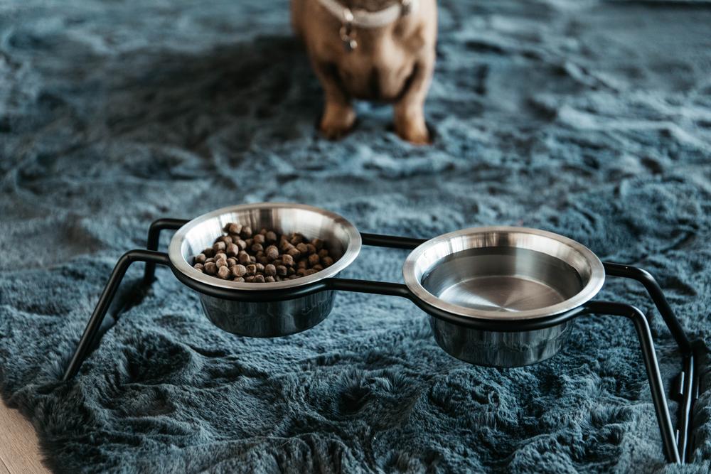 Futternapf Komfort | Kentucky Dogwear