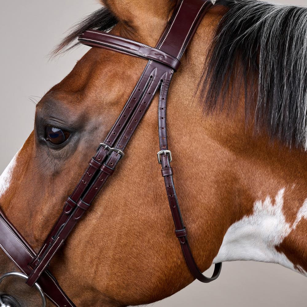 Hunter Trense mit breitem englischem Reithalfter US