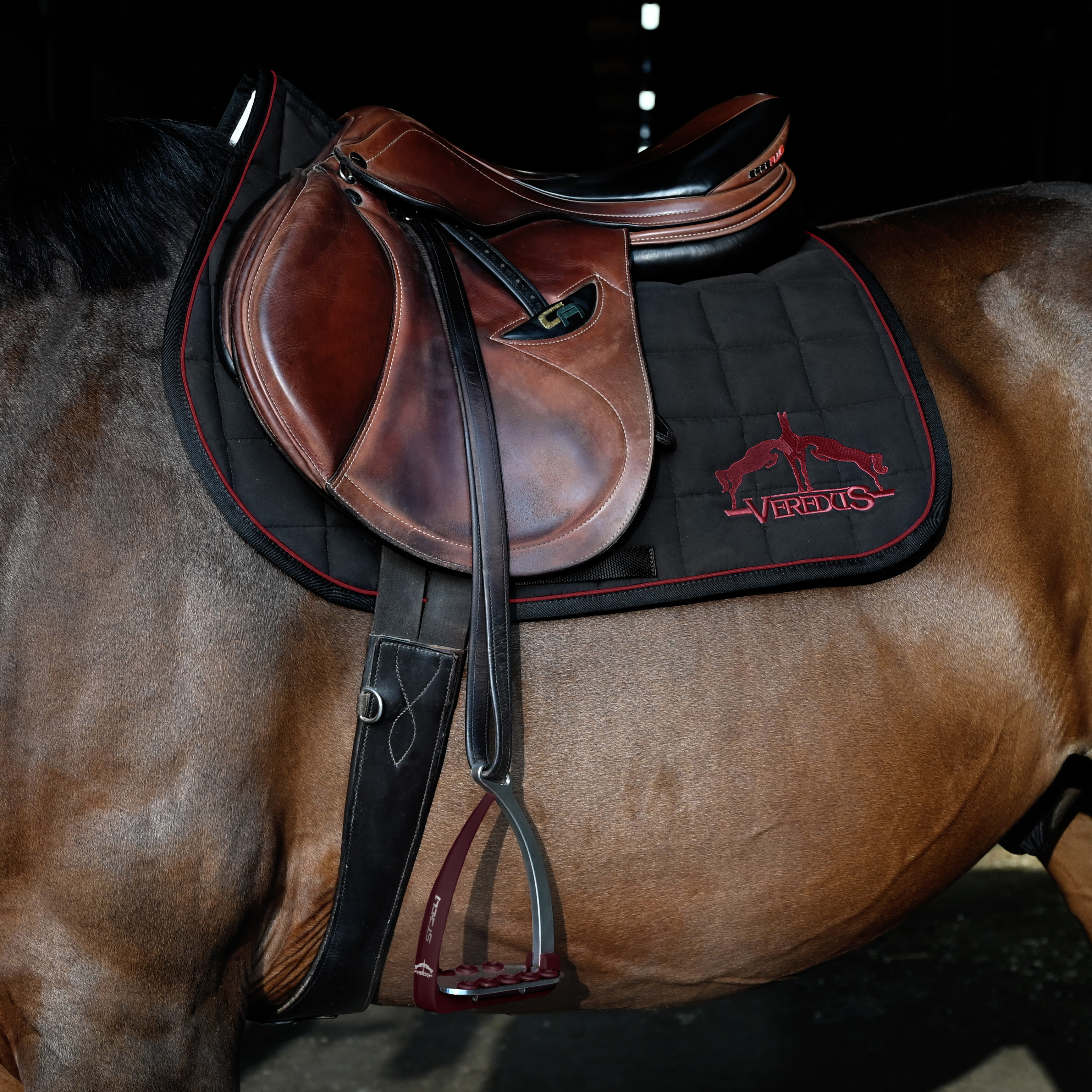 Set Steel 1 Steigbügel, Schabracke und Cap