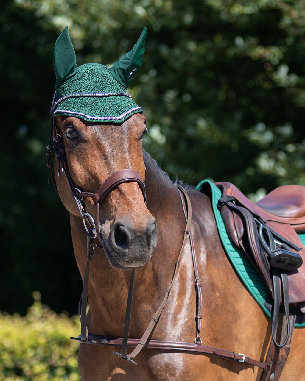 Snaffle Sedna