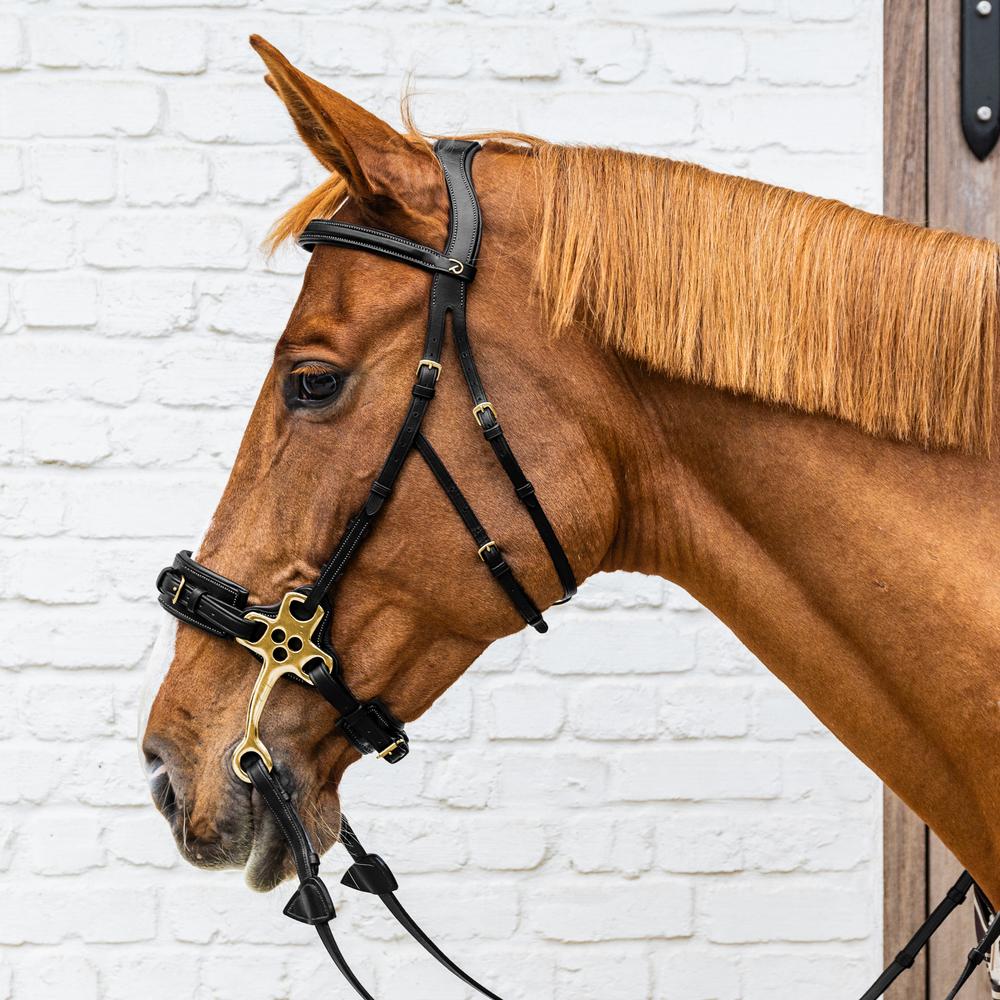 Bride Hackamore DY | Dy'on