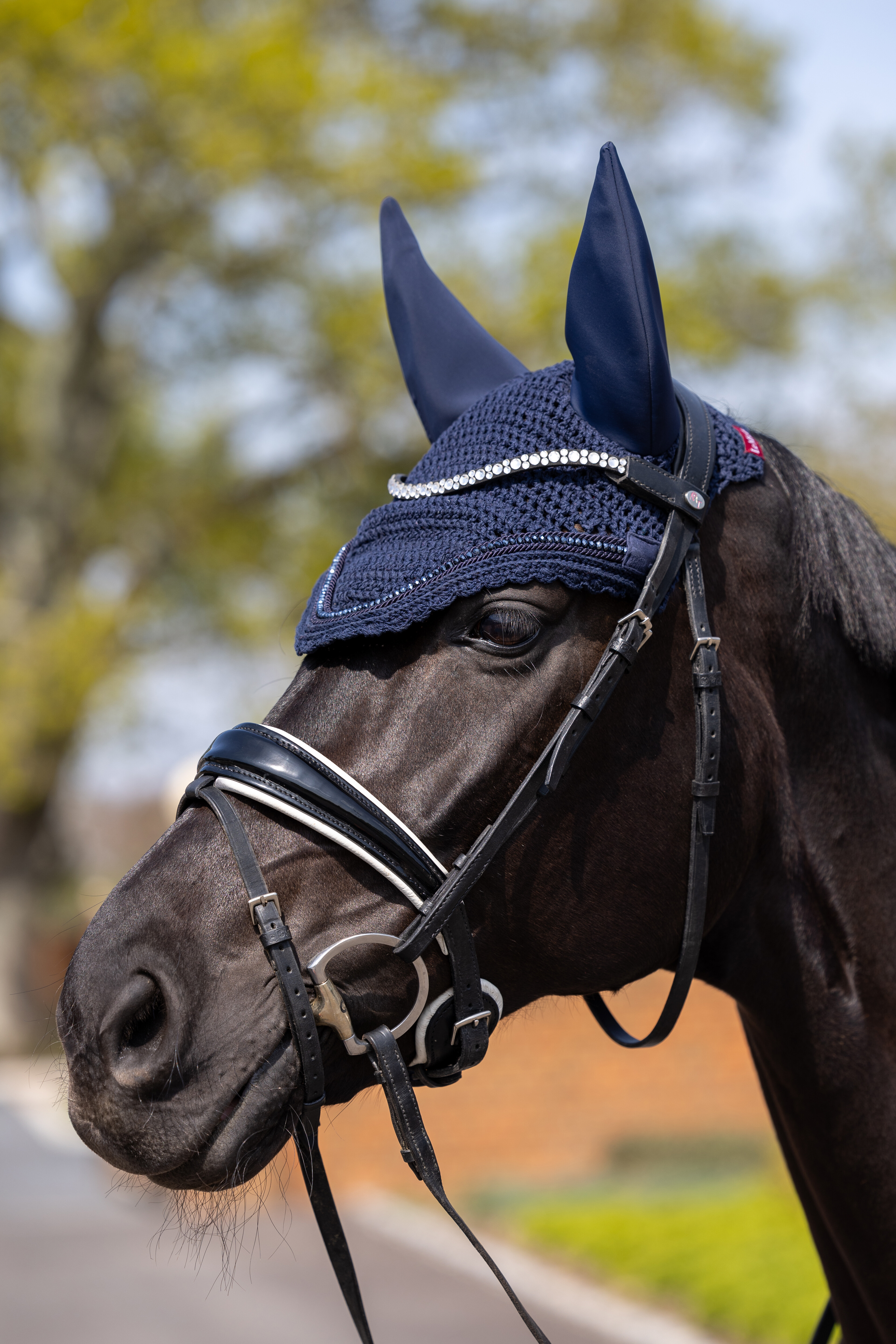 Diamante Acoustic ear bonnet